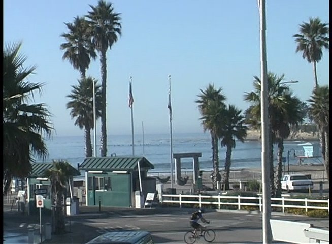A sunny coastal vista captures surfers navigating waves near a palm-lined shoreline and paved promenade.