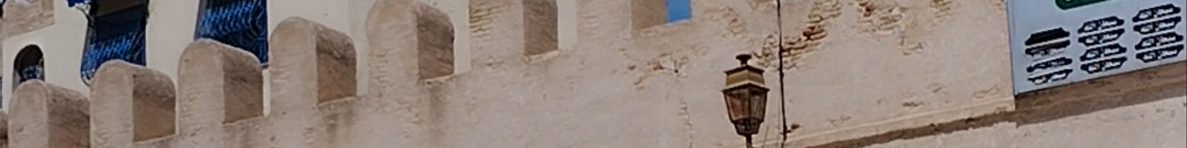 Tours & experiences in Tunisia
