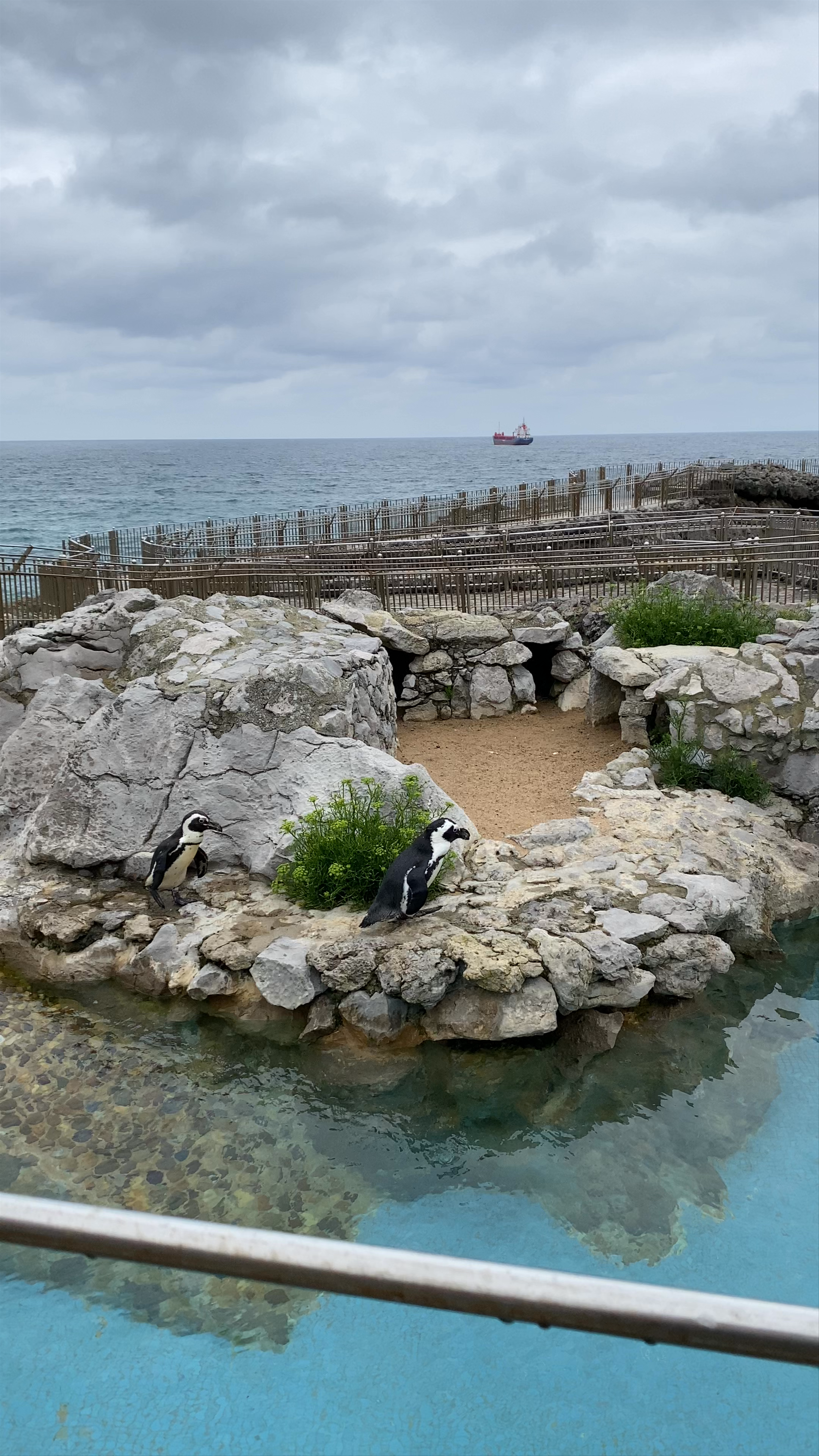 Parque Marino de la Magdalena