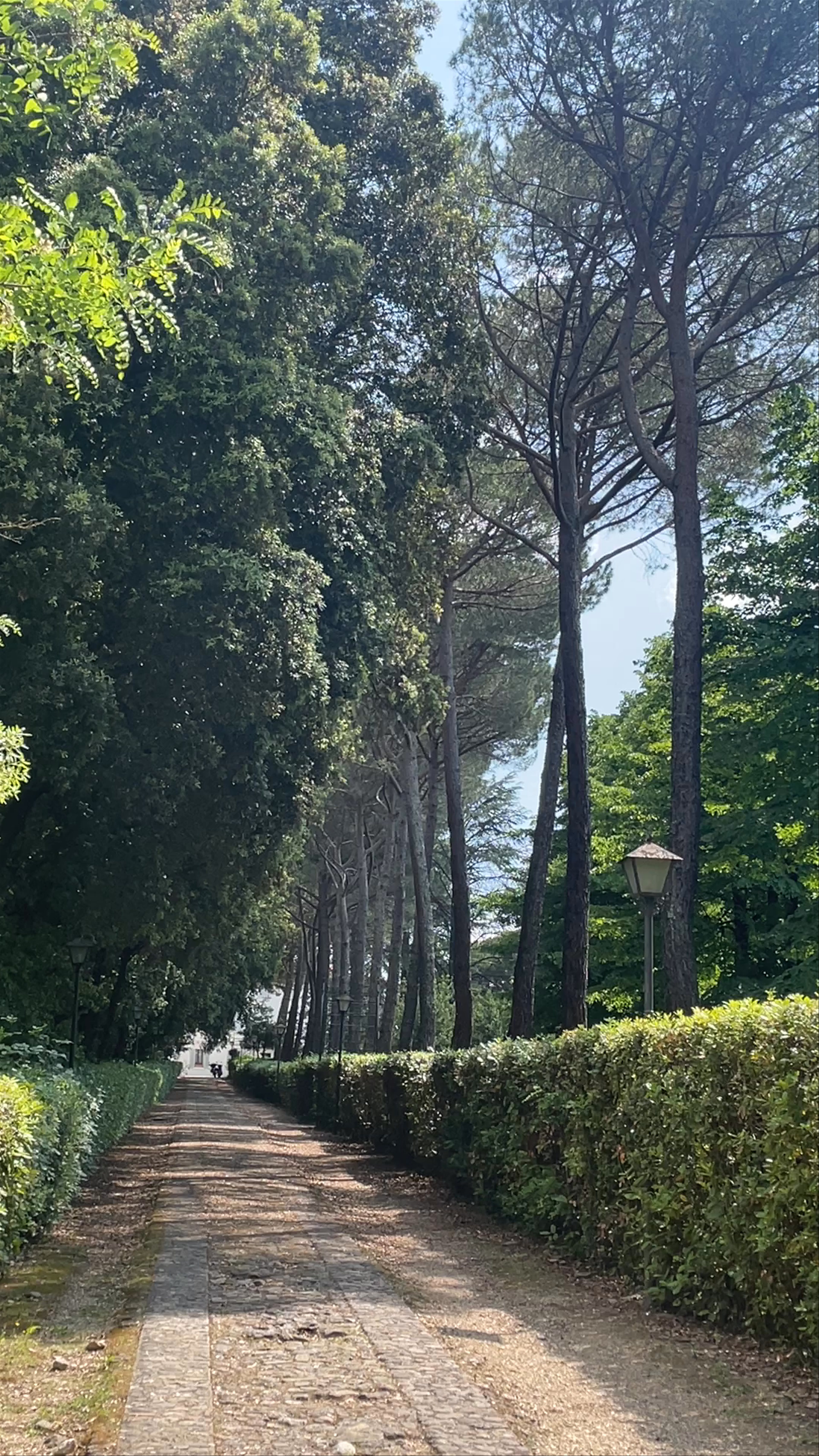 Serene Pathway by Piscina dell'Hotel Garden in Siena, Tuscany