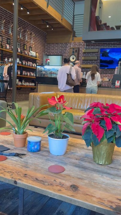 Barbarossa Coffee - Bakeries Near Me - Magnolia, Texas