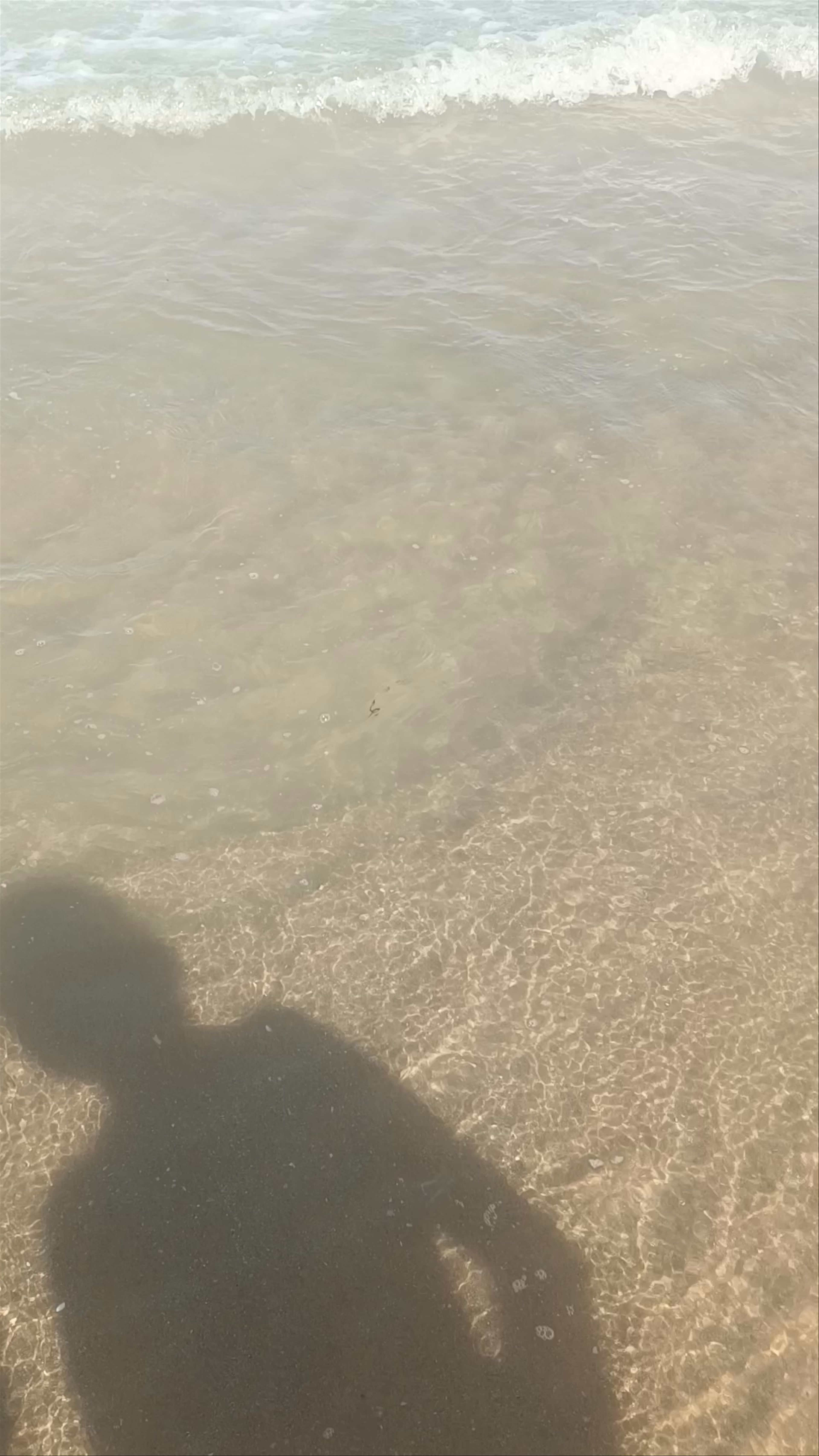 Playa de la Marina