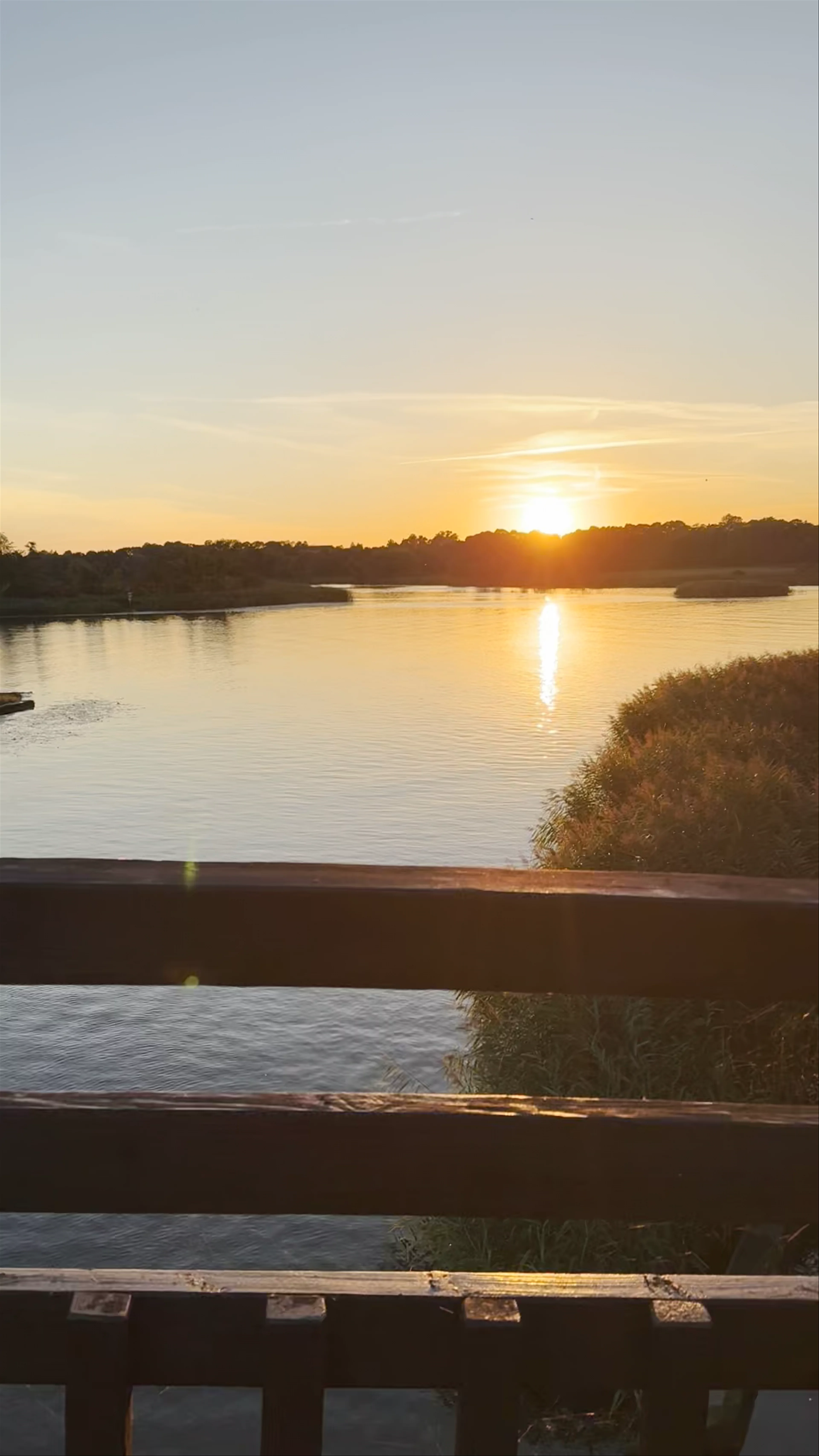 Dziewoklicz Plaża, Floriana Krygiera, Szczecin