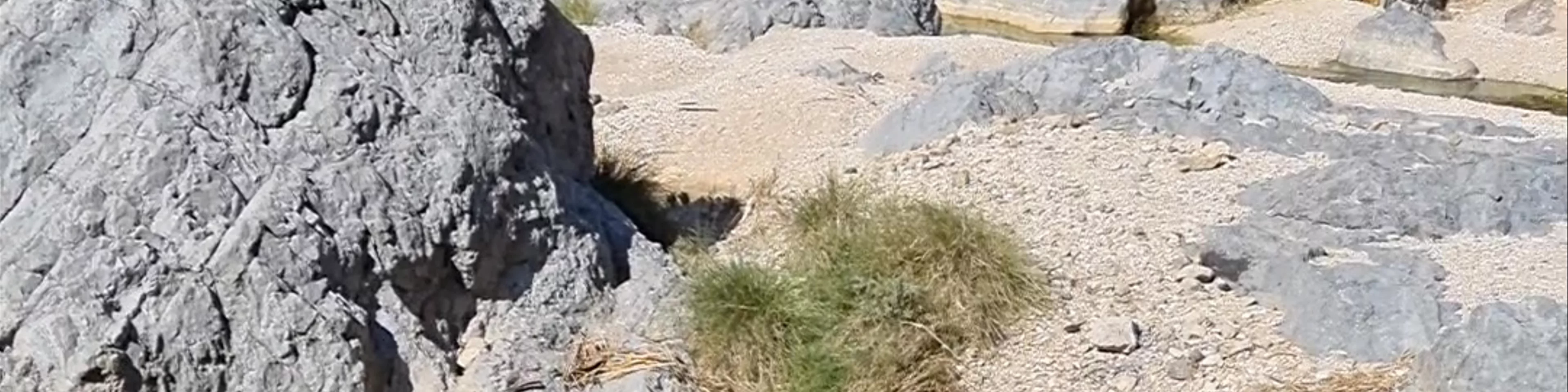 Wadi Al Arbeieen