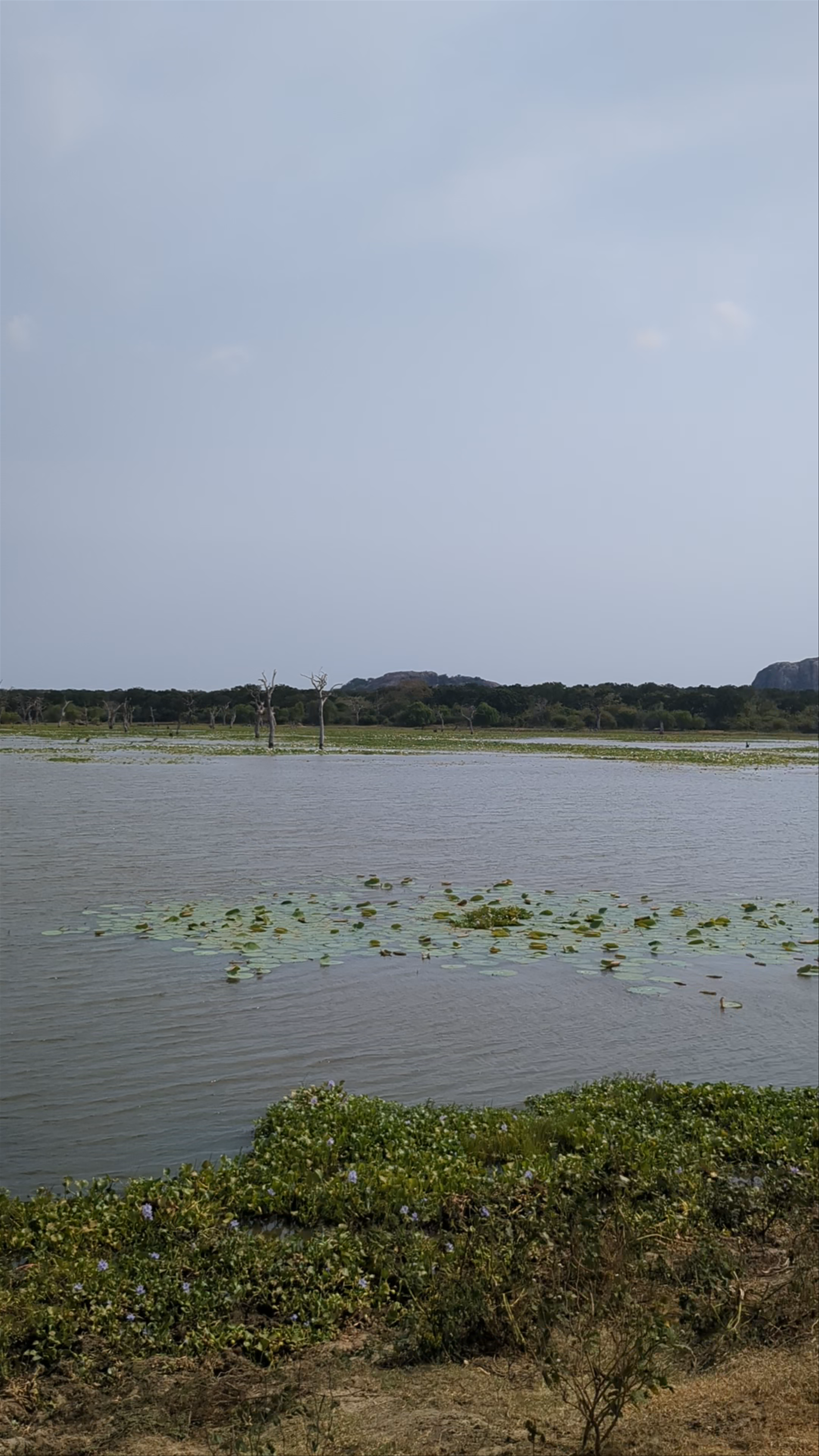 Yala National Park Sri Lanka