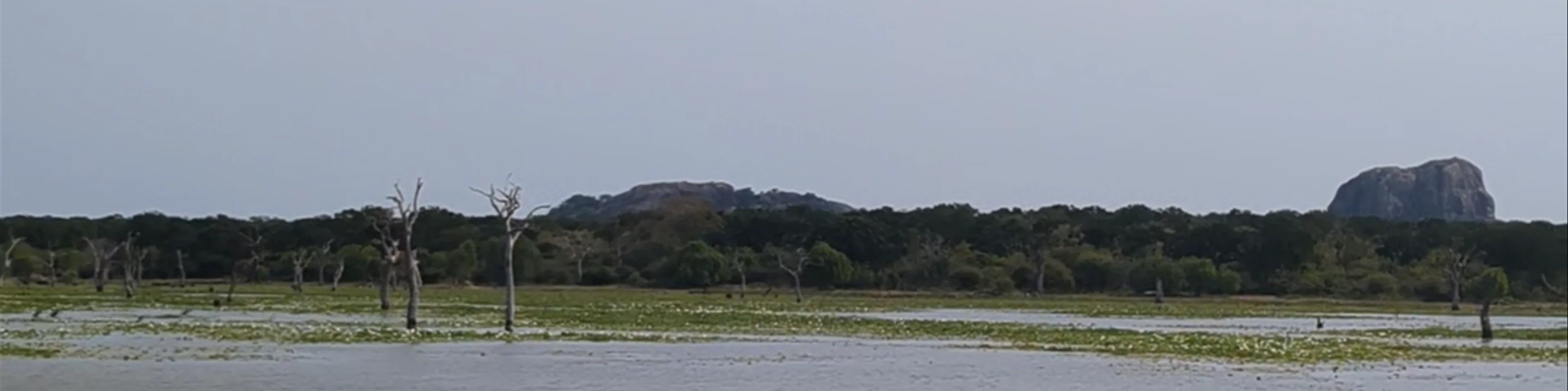 Yala National Park Sri Lanka