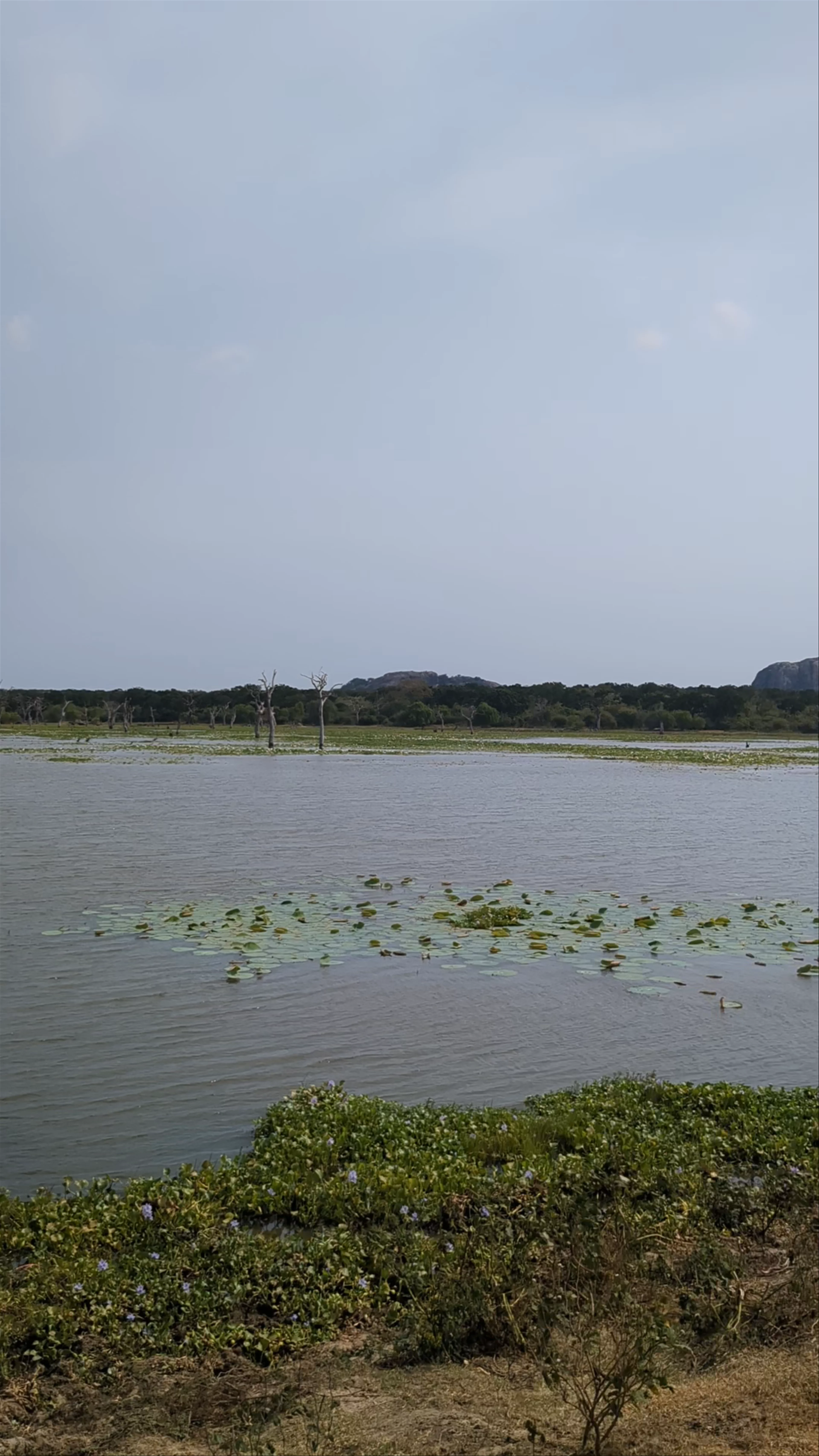 Yala National Park