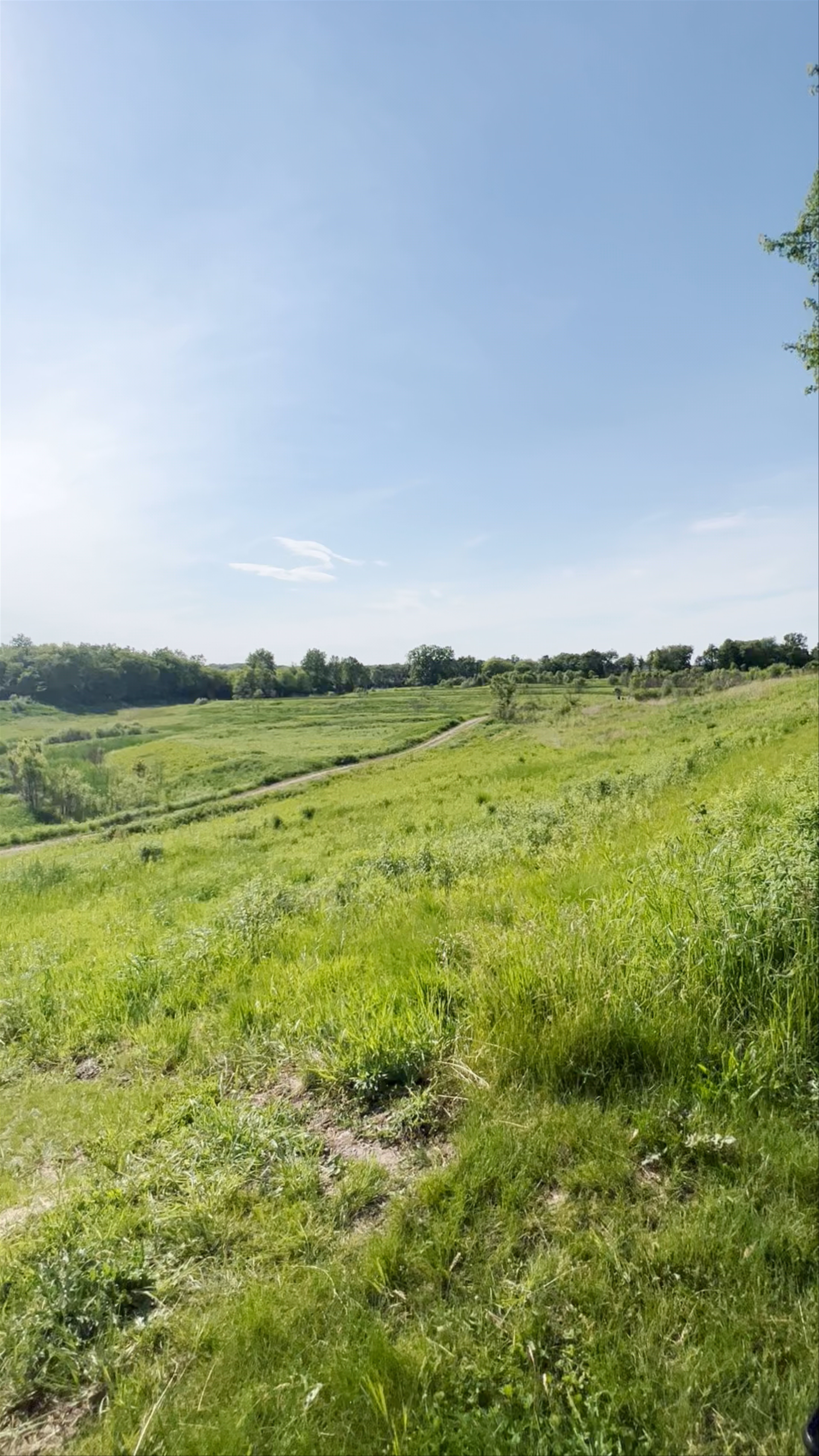 Jelke Creek Bird Sanctuary