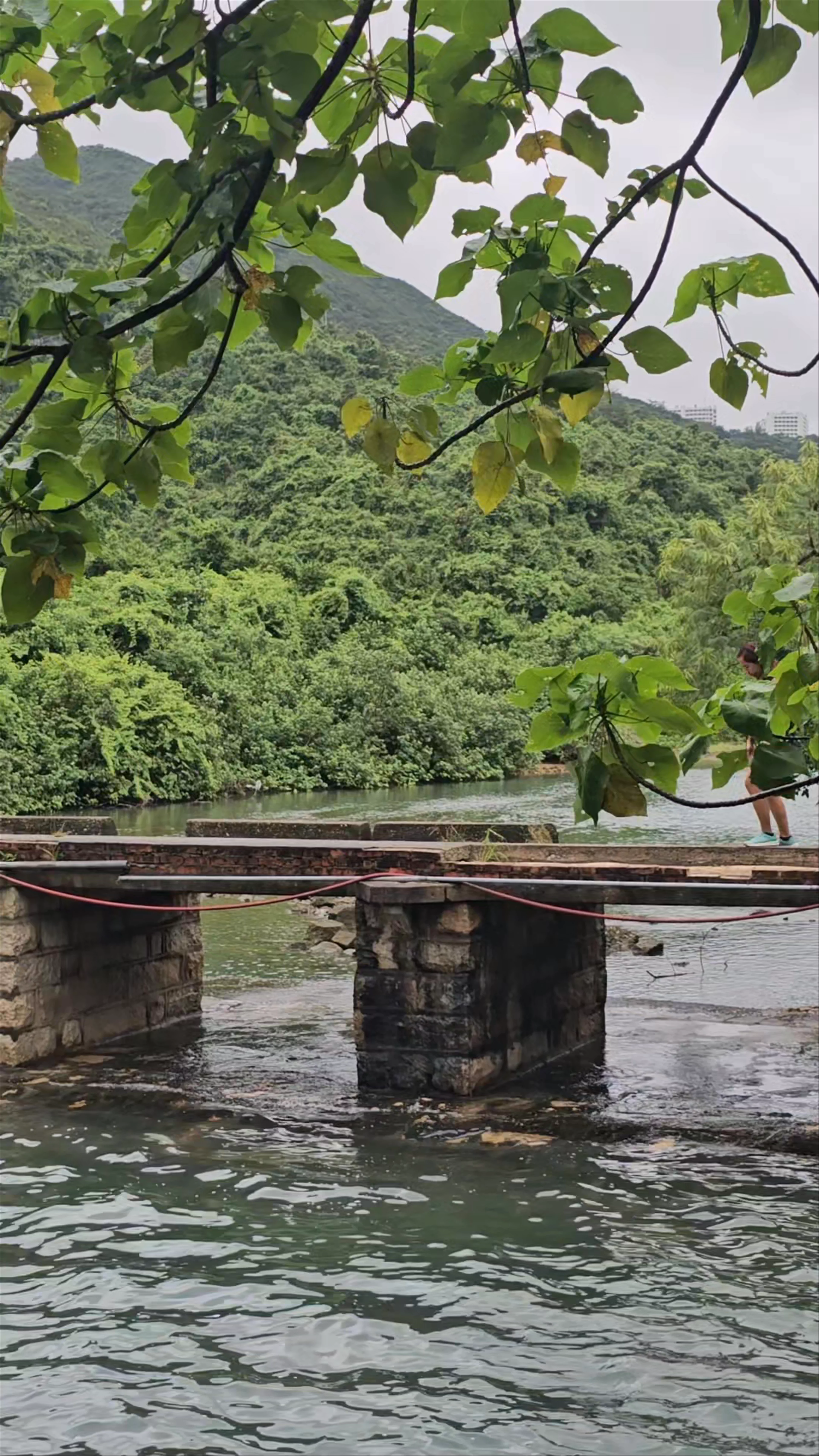 Tai Tam Reservoir