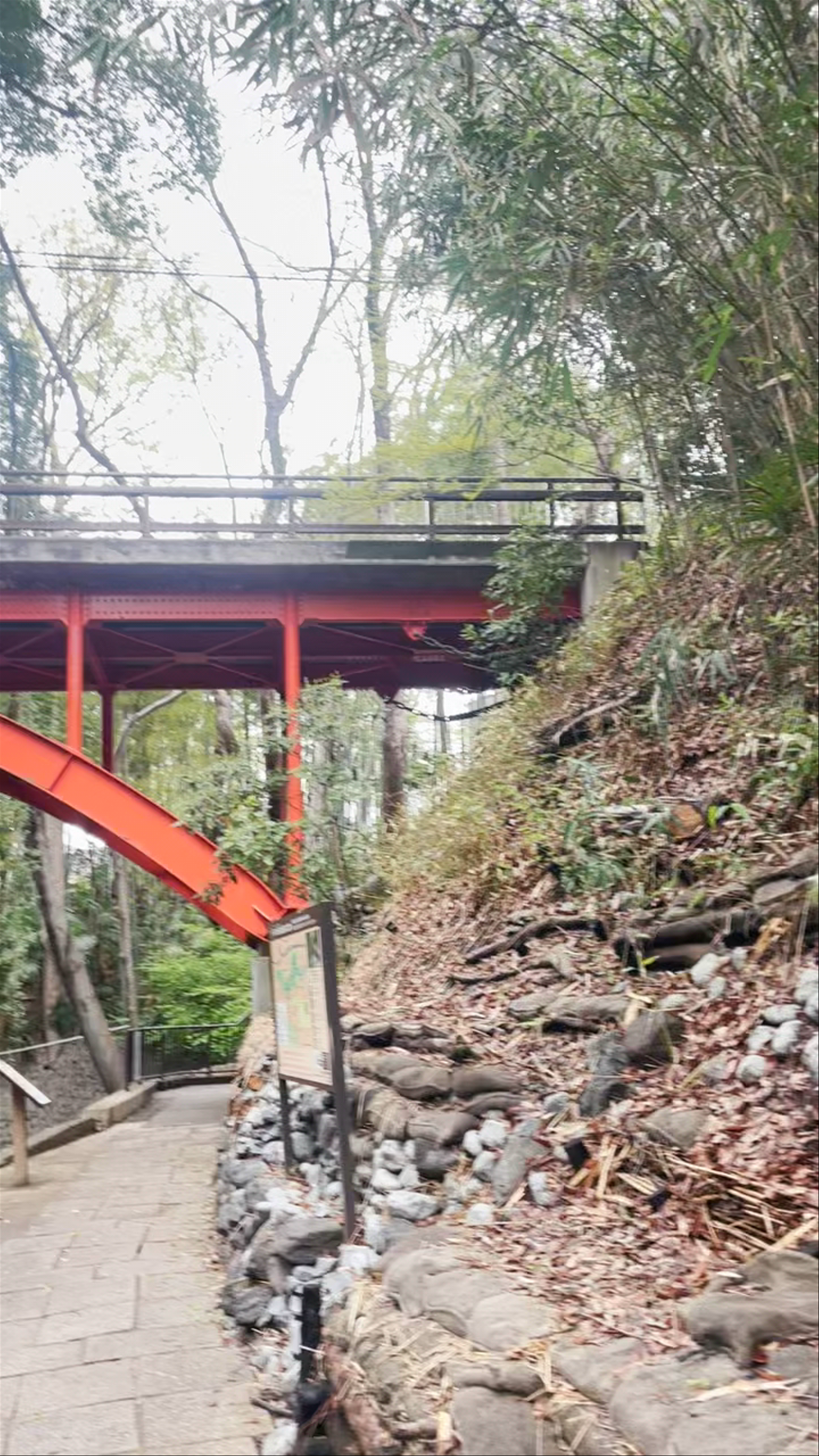 Todoroki Ravine Park