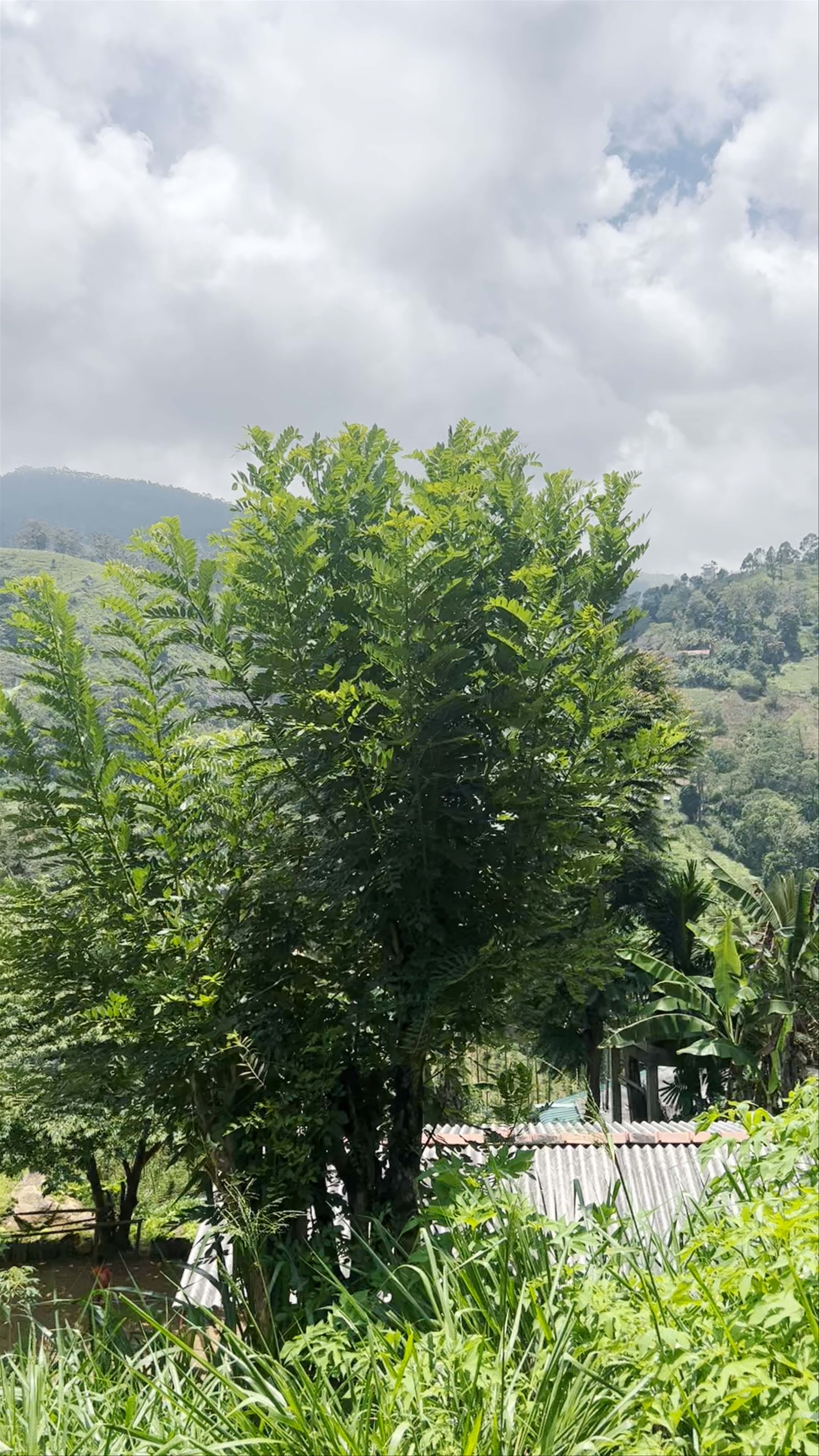 Ella Railway Station