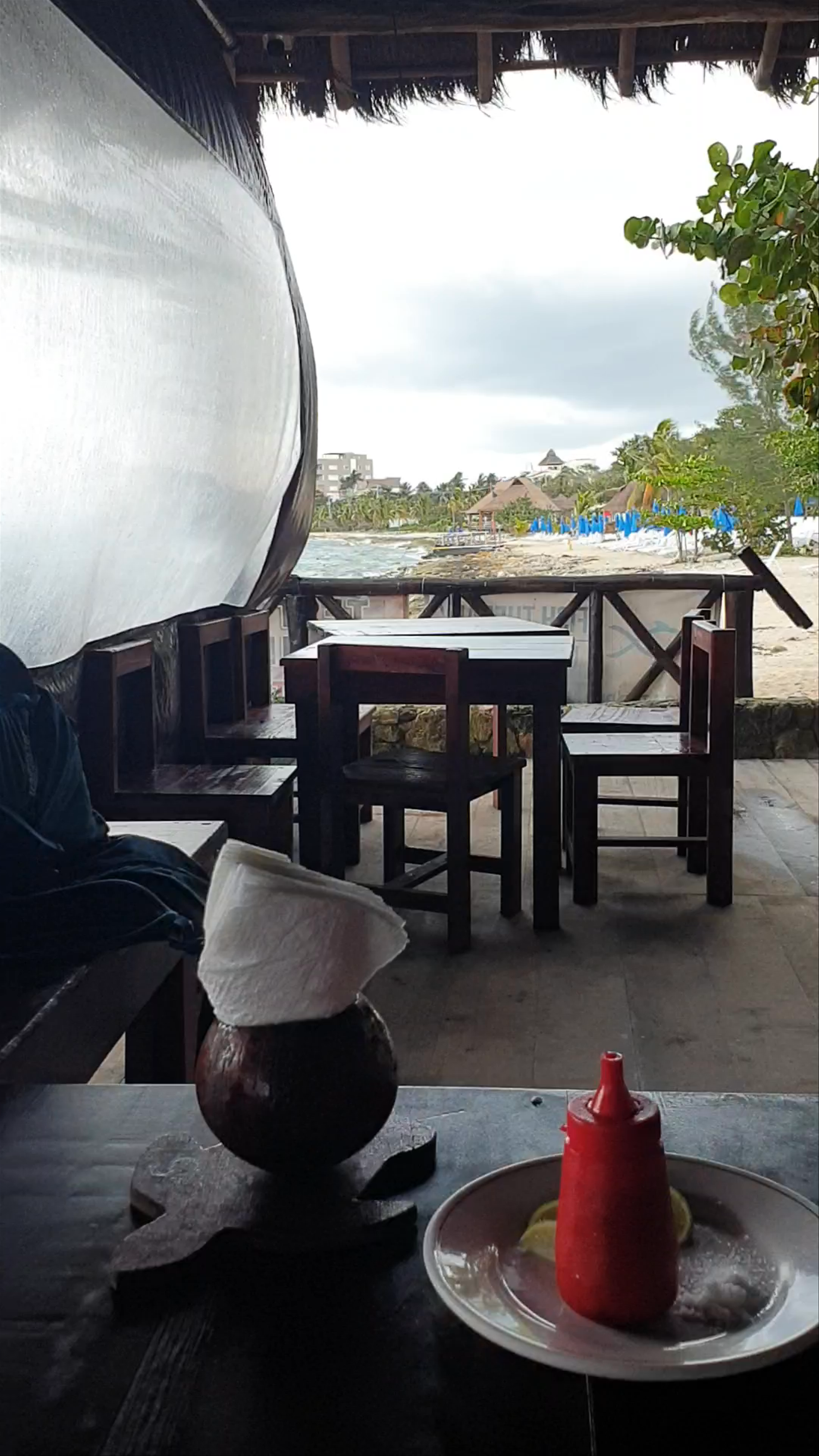 Tortugas Snorkel Center and Beach Bar