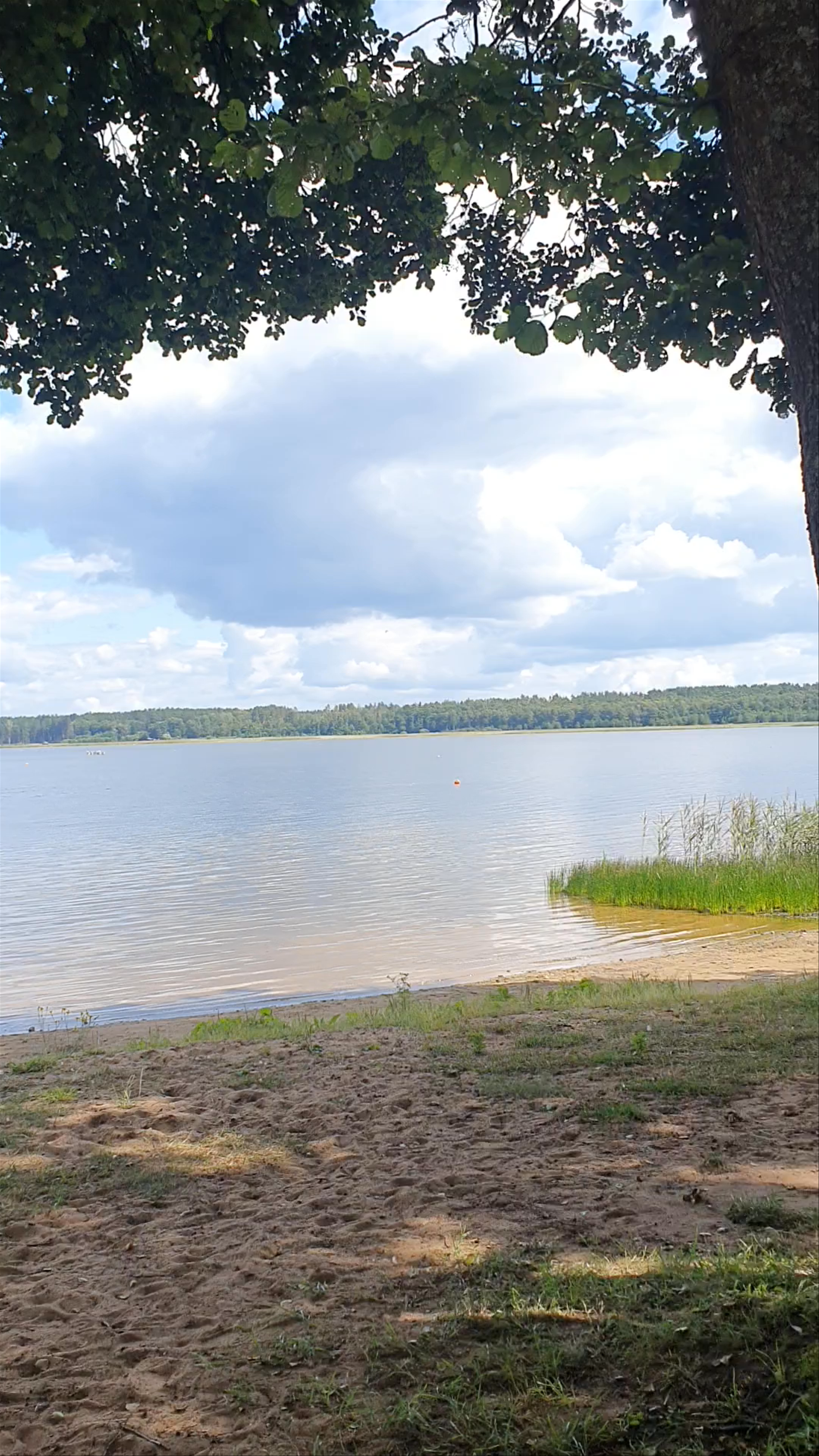 Serene Summer Day at Stropu Ezers, Daugavpils, Latvia