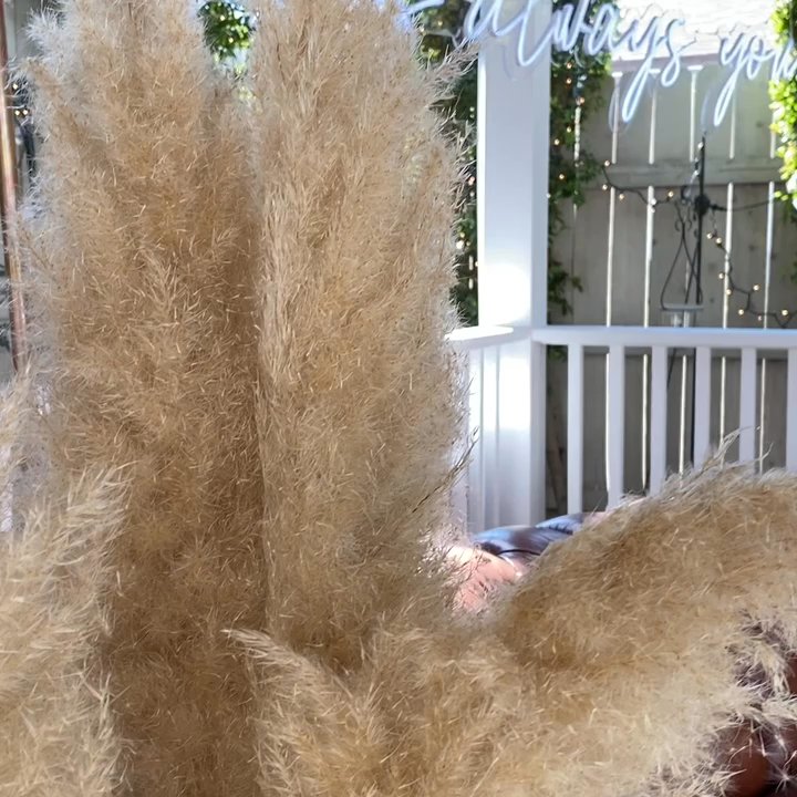 Two Little Doves - Party Equipment Rentals Near Me