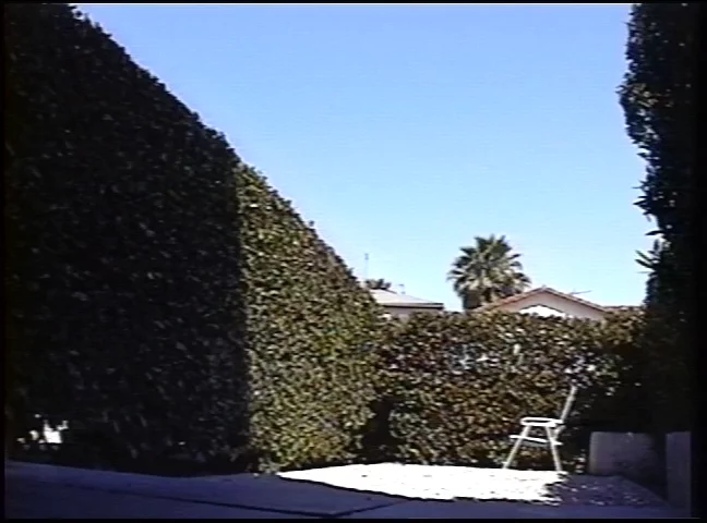 [Untitled]