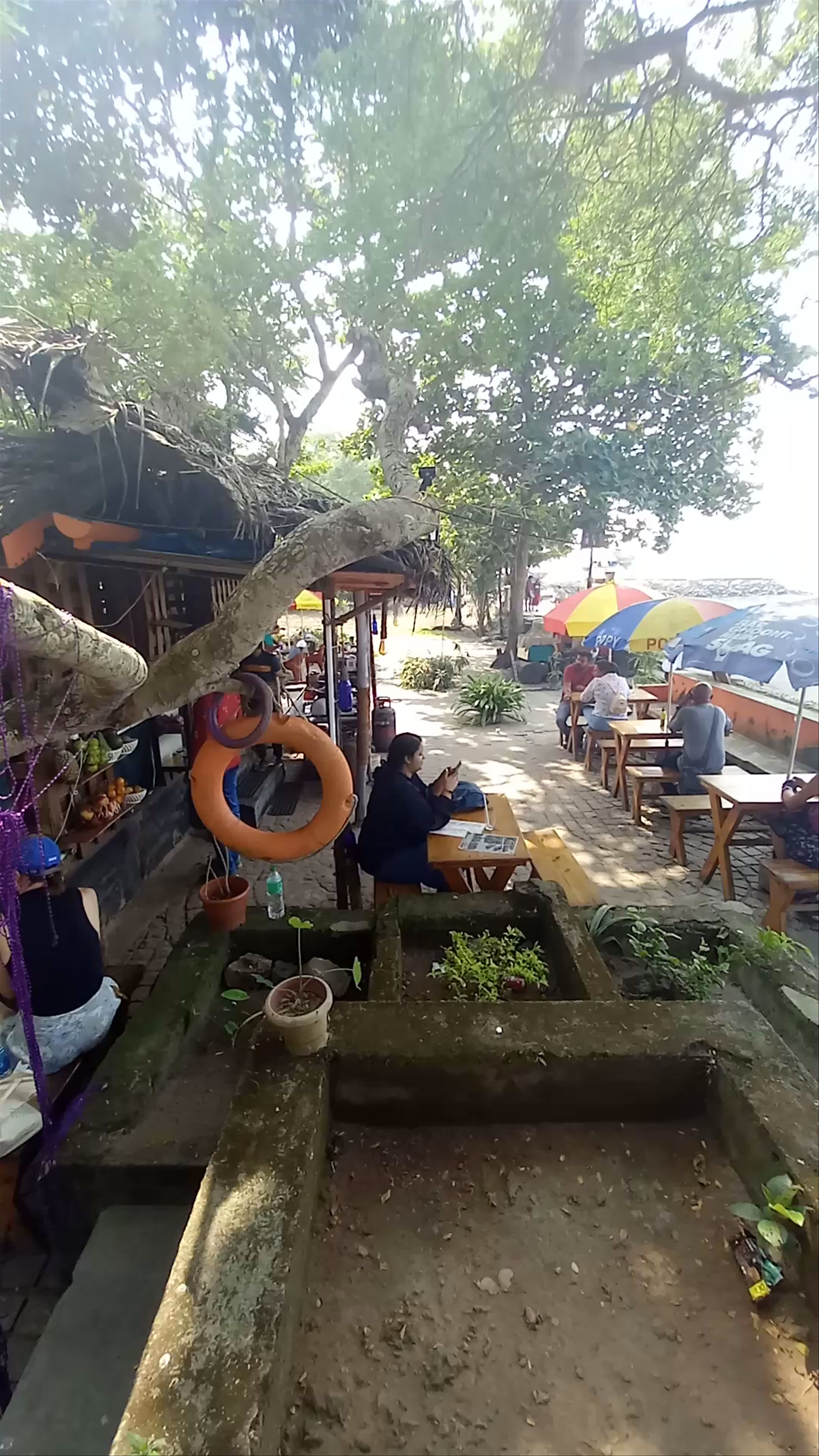 MAPLES SEA FOOD RESTAURANTS