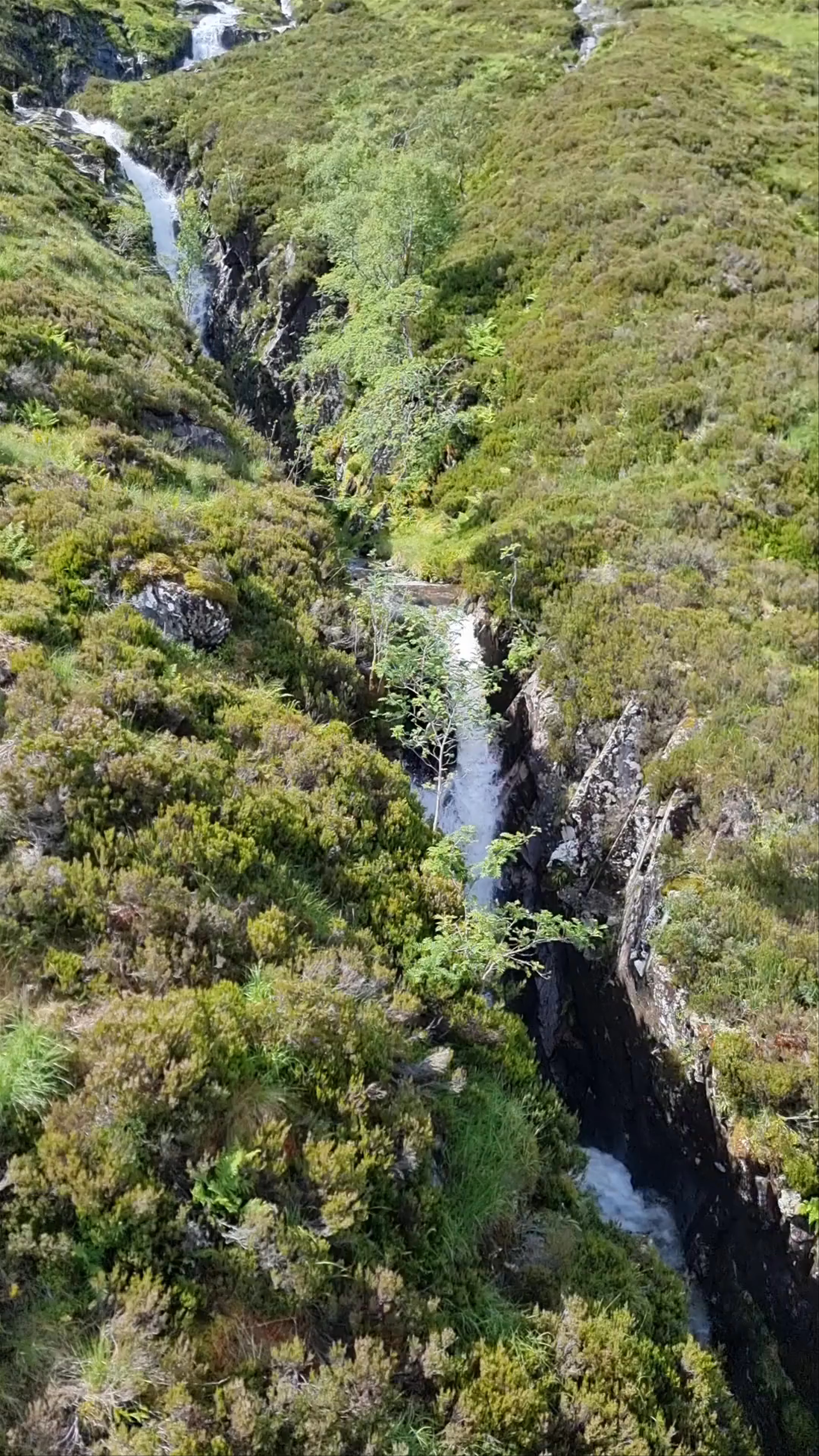 Glencoe Mountain Resort