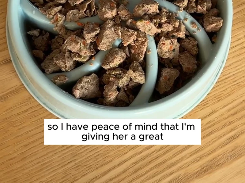 Lyka - Dog Food