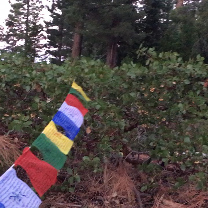Ice House Campgrounds - Site 57 best views - Campgrounds Near Me - Pollock Pines, California
