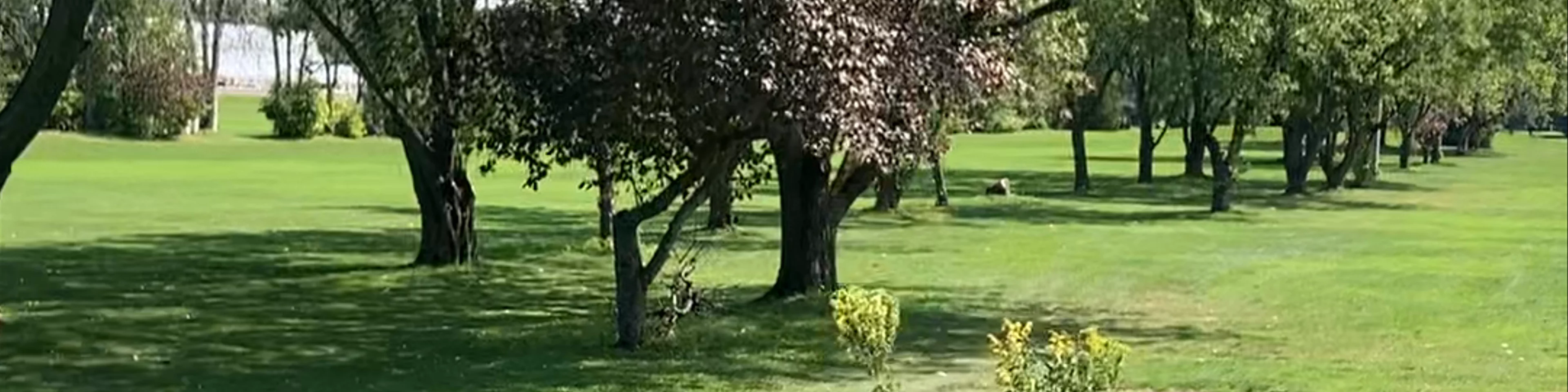 Golf UFO