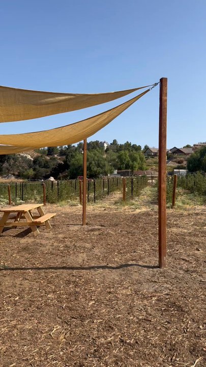 The Blackberry Fields - The Blackberry Fields - Pick Your Own Farms Near Me - Temecula, California