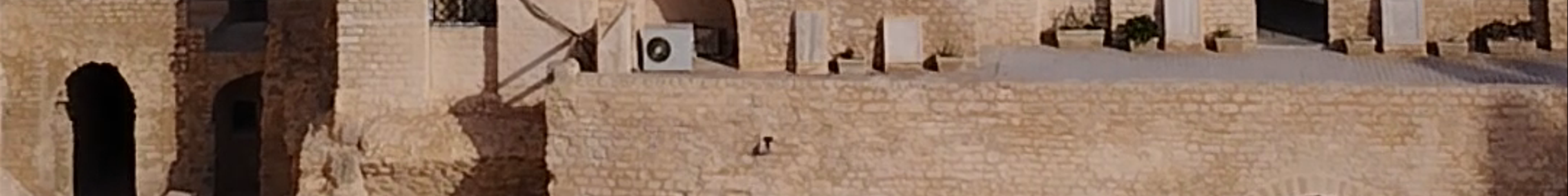 Tours & experiences in Monastir