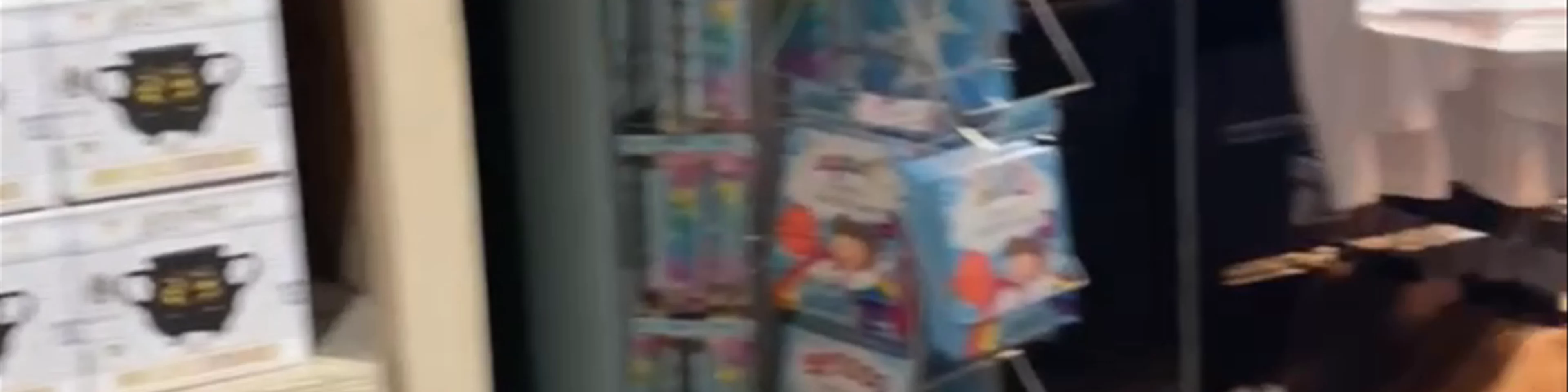 Museum Context: Retailer of Harry Potter Merchandise