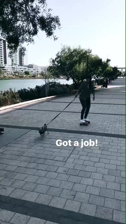 Eggboards Mini Longboards - I always say my dog needs to get a job and carry her weight around the house. Well thanks to my eggboard she now has a job! - Skate Shops Near Me - Venice, California