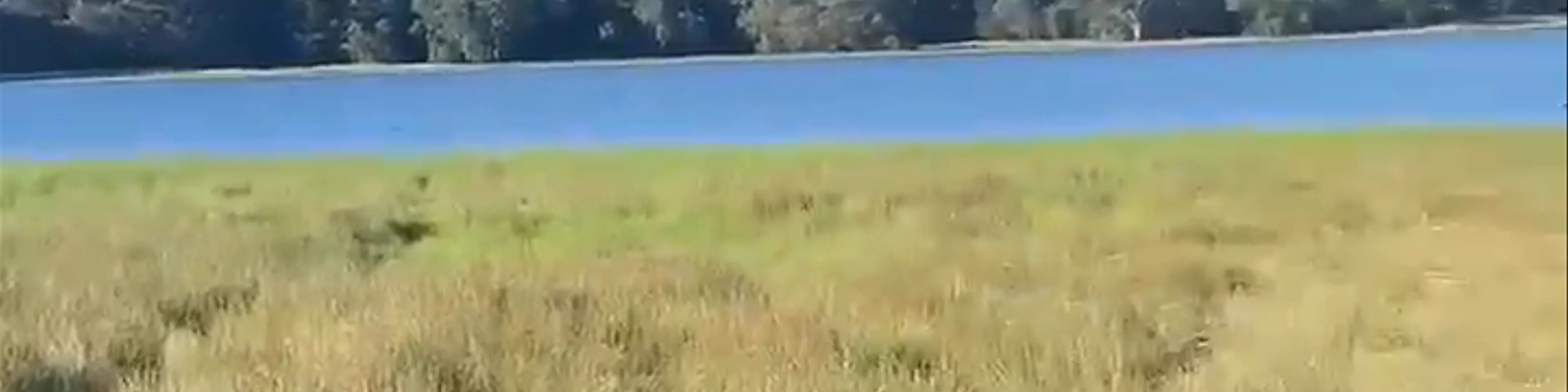 Myponga Reservoir
