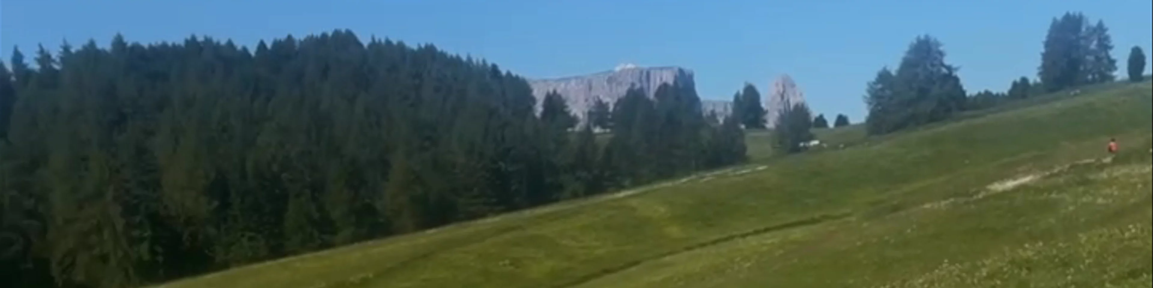 Alpe di Siusi