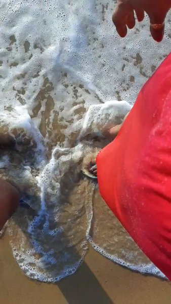 Photo of Goa {Candolim Beach)