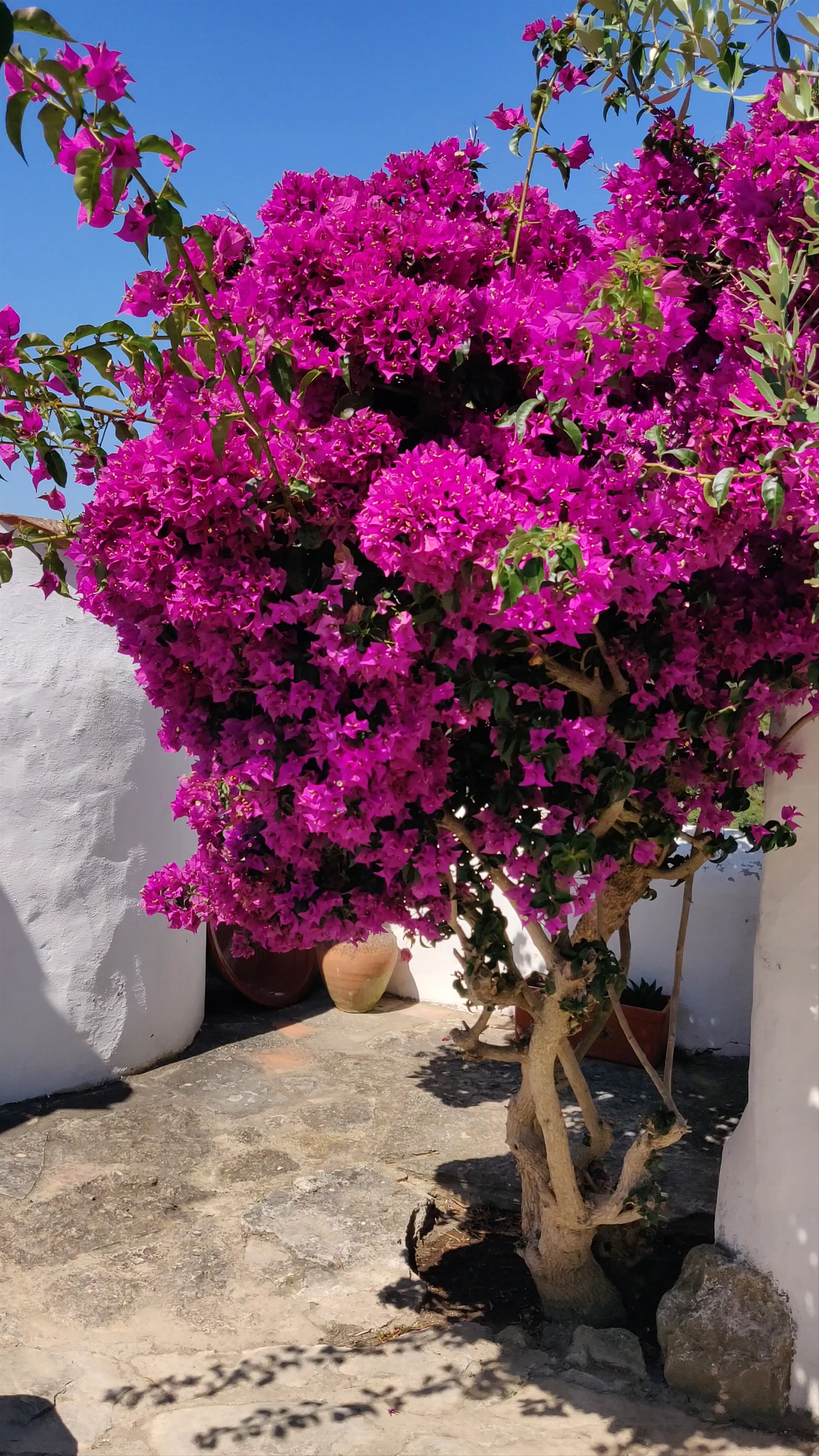 Aldeia da Mata Pequena