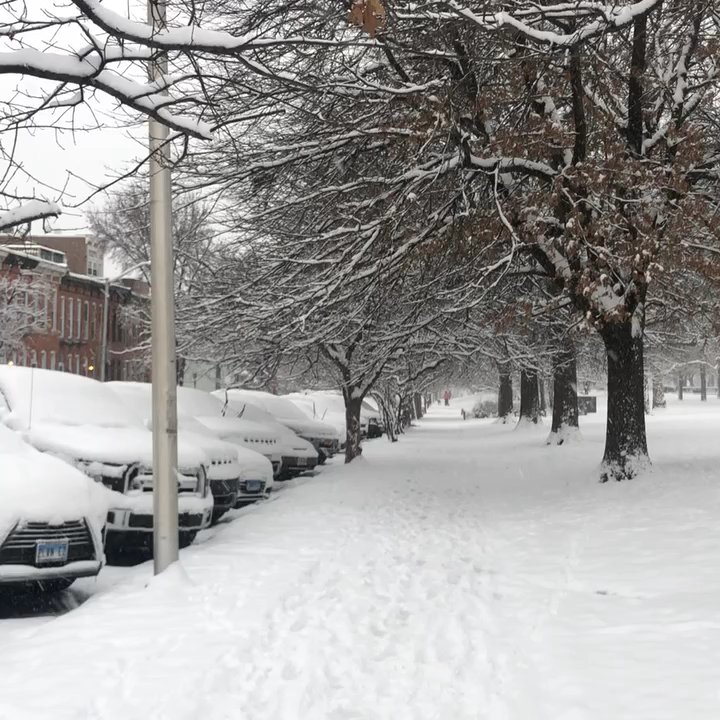 Riverside Park - Snowing at the park. - Parks Near Me - Baltimore, Maryland