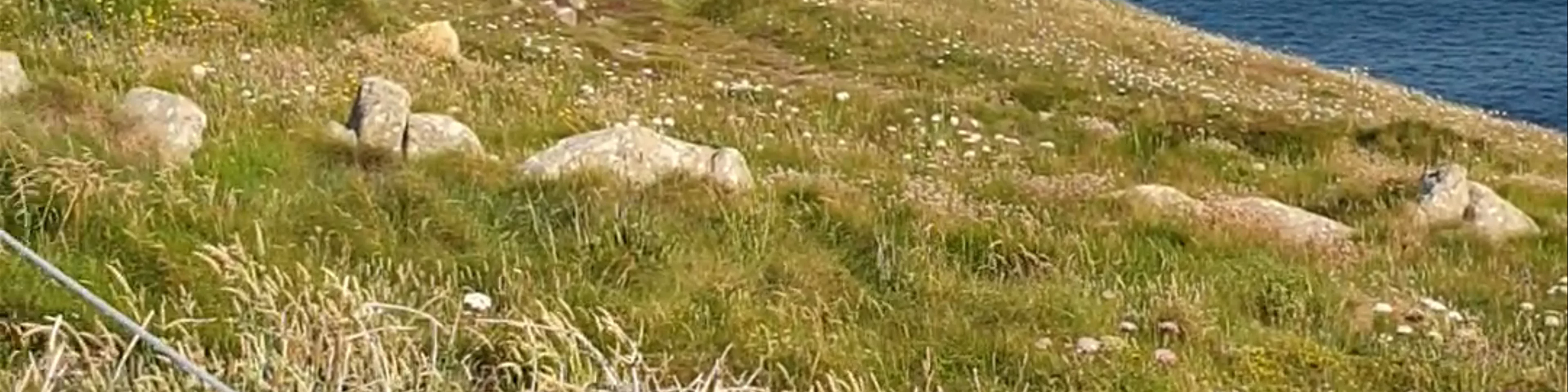 Land's End Landmark Attraction