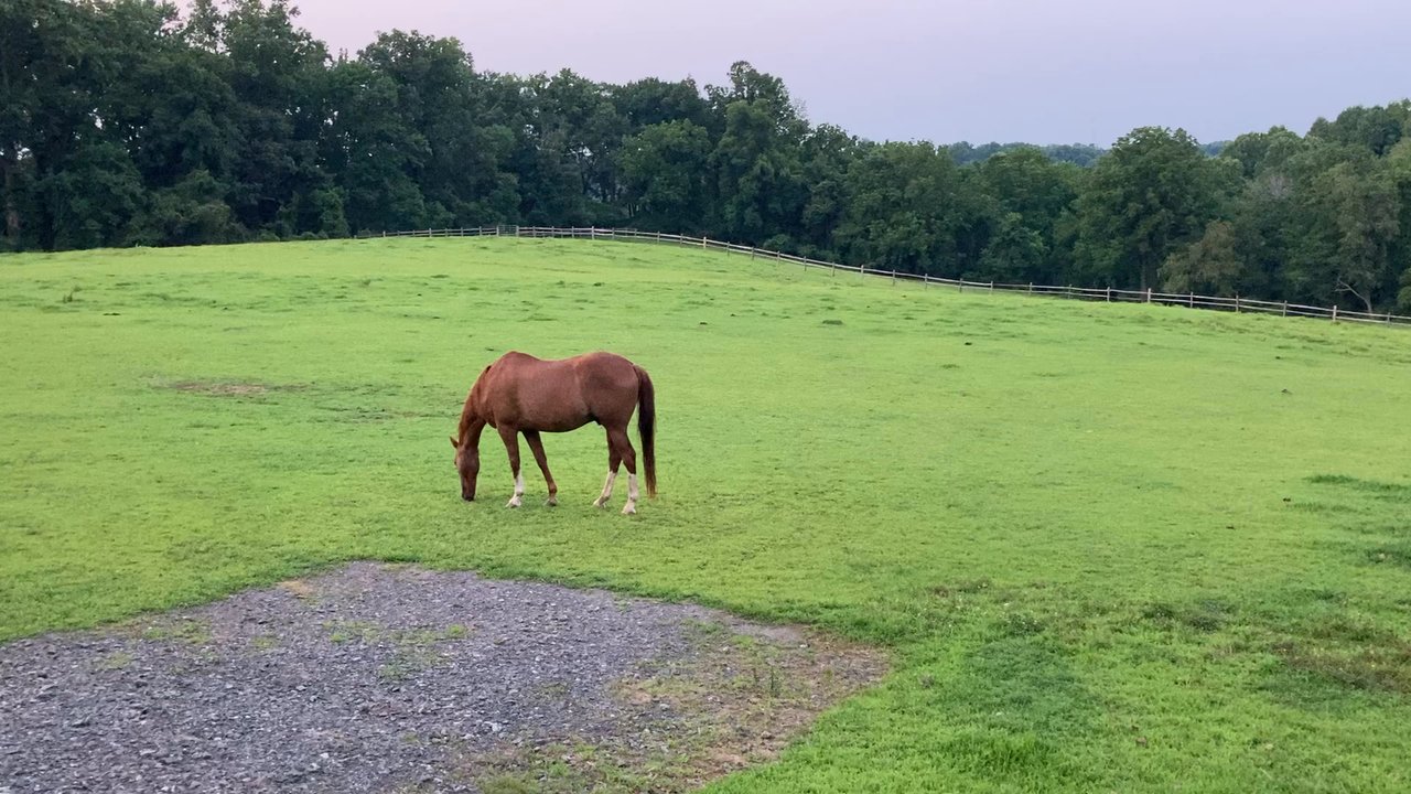Hidden Valley Farm - Hidden Valley Farm - Horseback Riding Near Me - Newtown Square, Pennsylvania