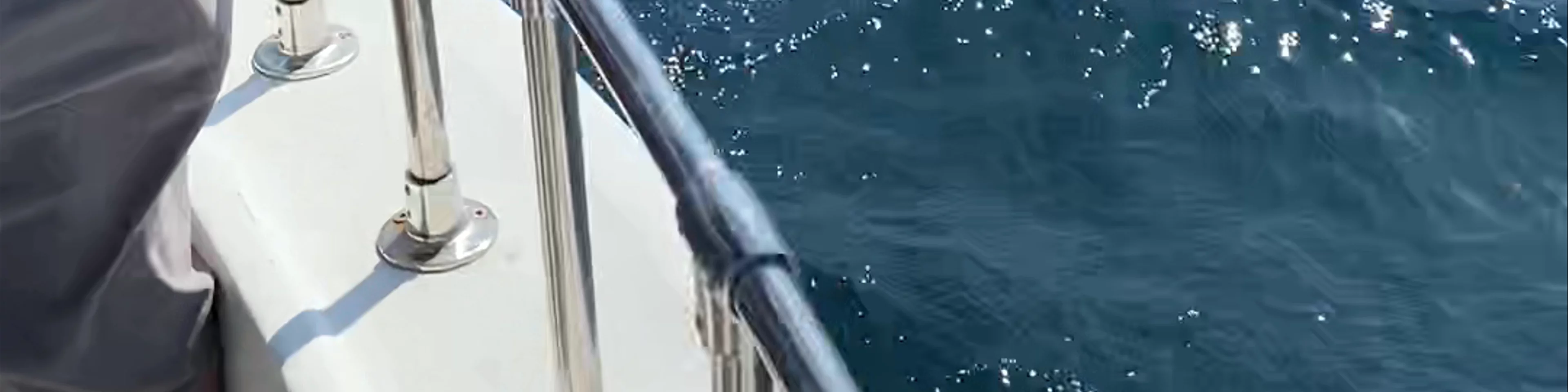 Quidi Vidi Charters