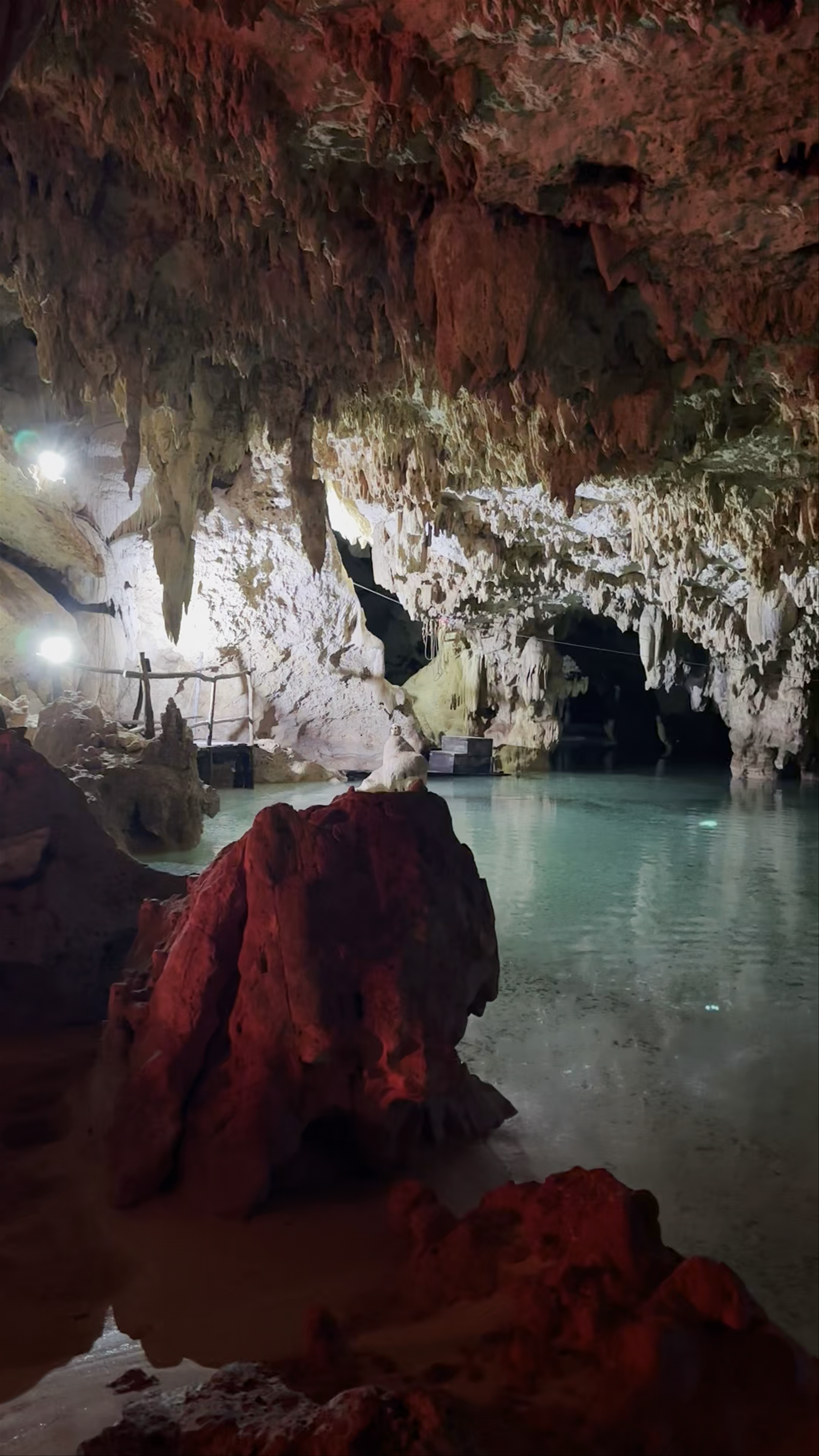 Mysterious Cenote Adventure at Casa Jaguar, Quintana Roo