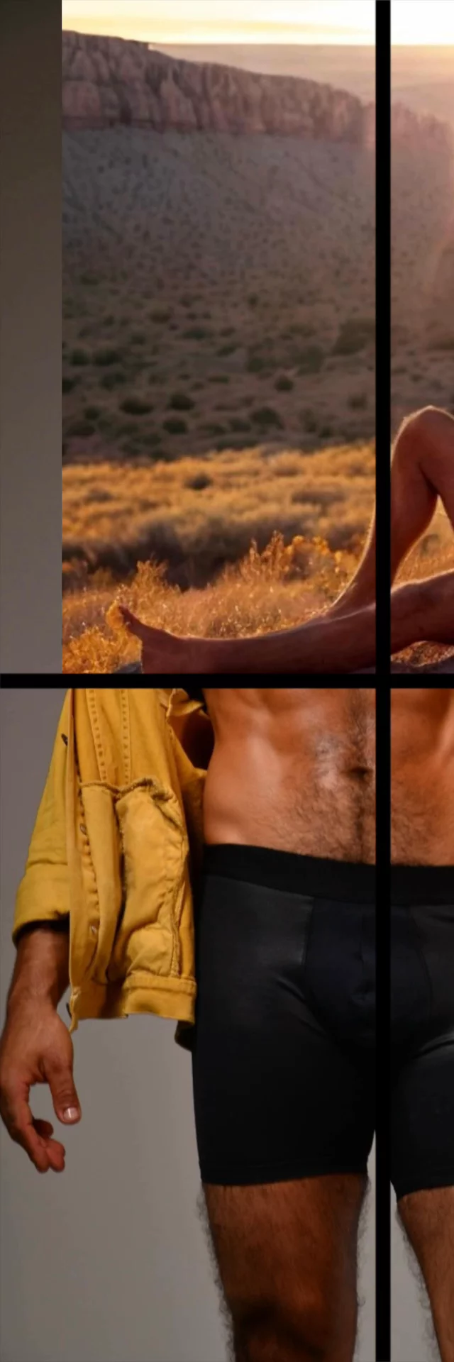 FITNESS MODEL 