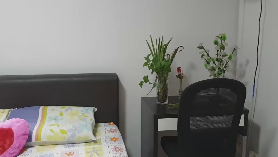 Common Room (HDB) for Rent in  585 Ang Mo Kio Avenue 3 - Image 8