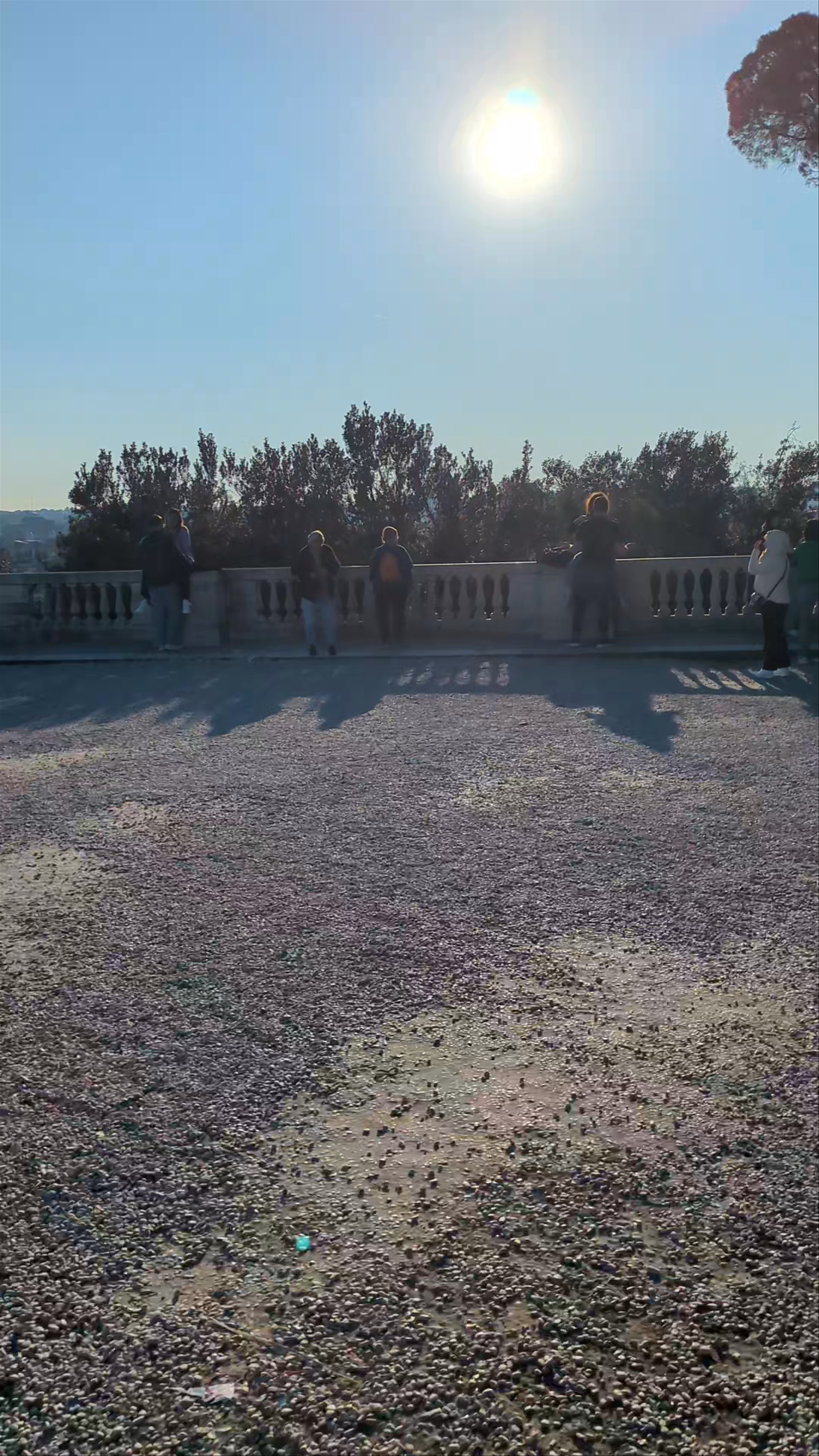 Panoramic Views at Terrazza del Pincio, Rome