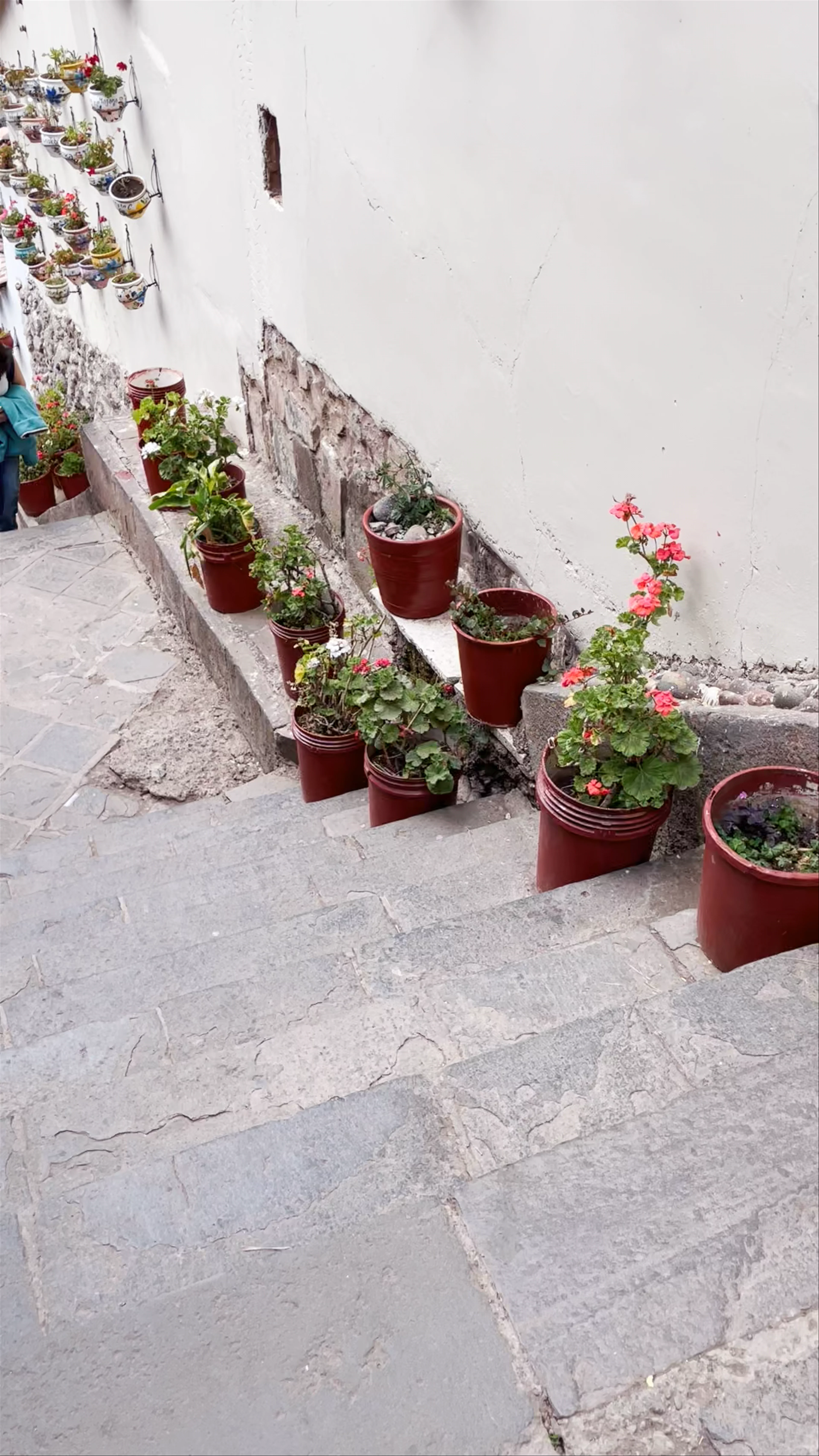 Calle Siete Borreguitos