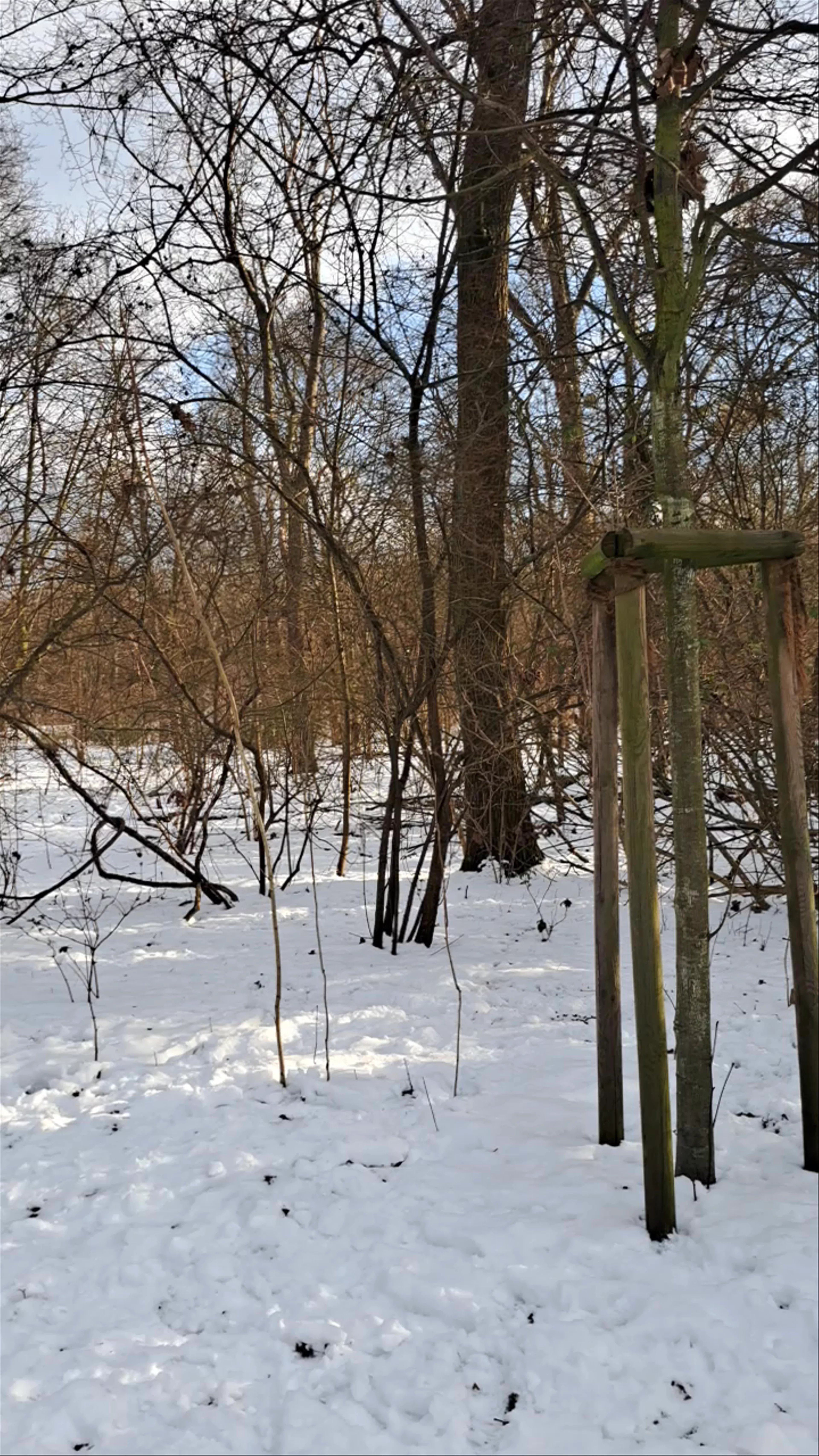 Tierpark Berlin
