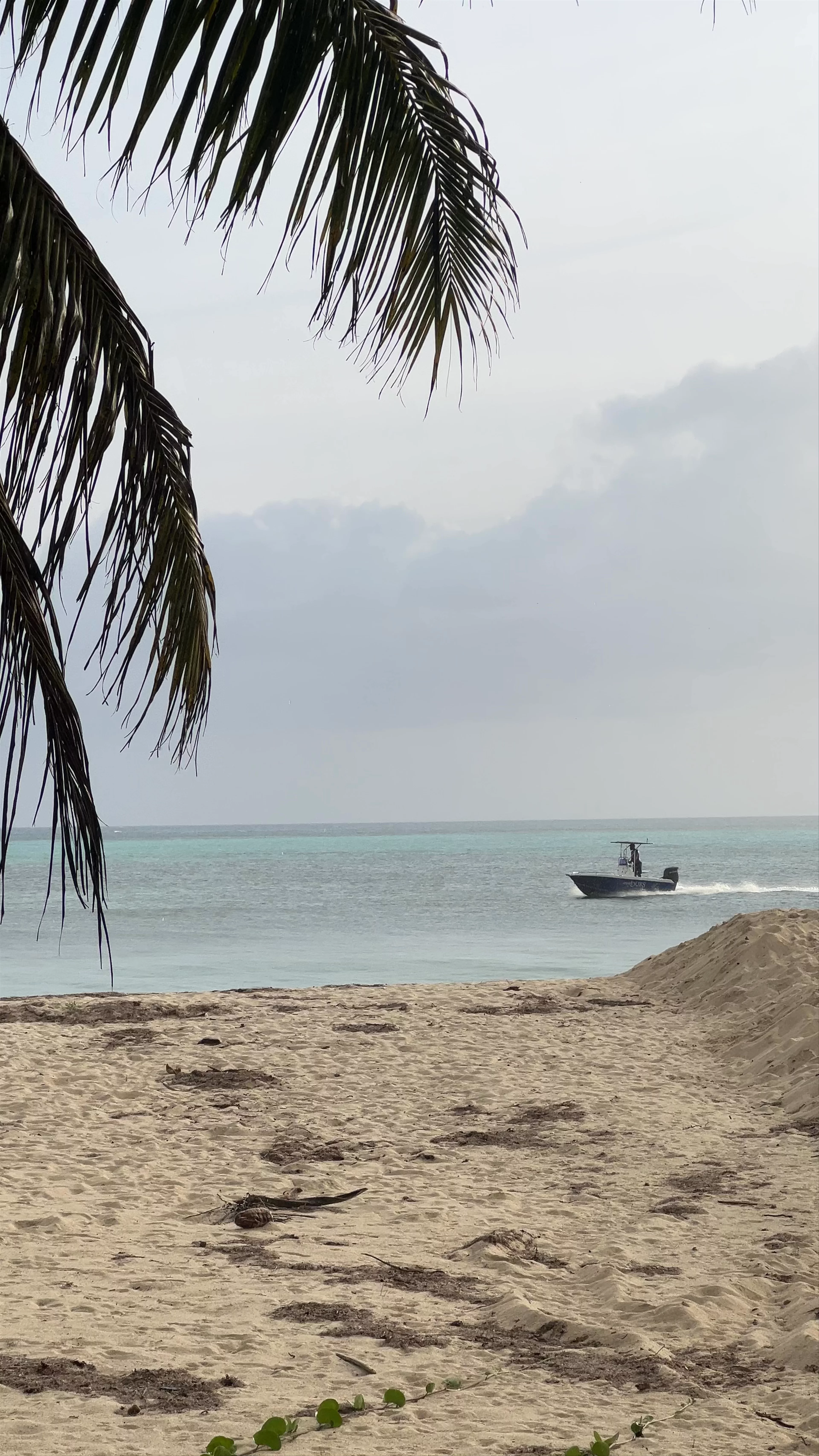 La Digue and Inner Islands