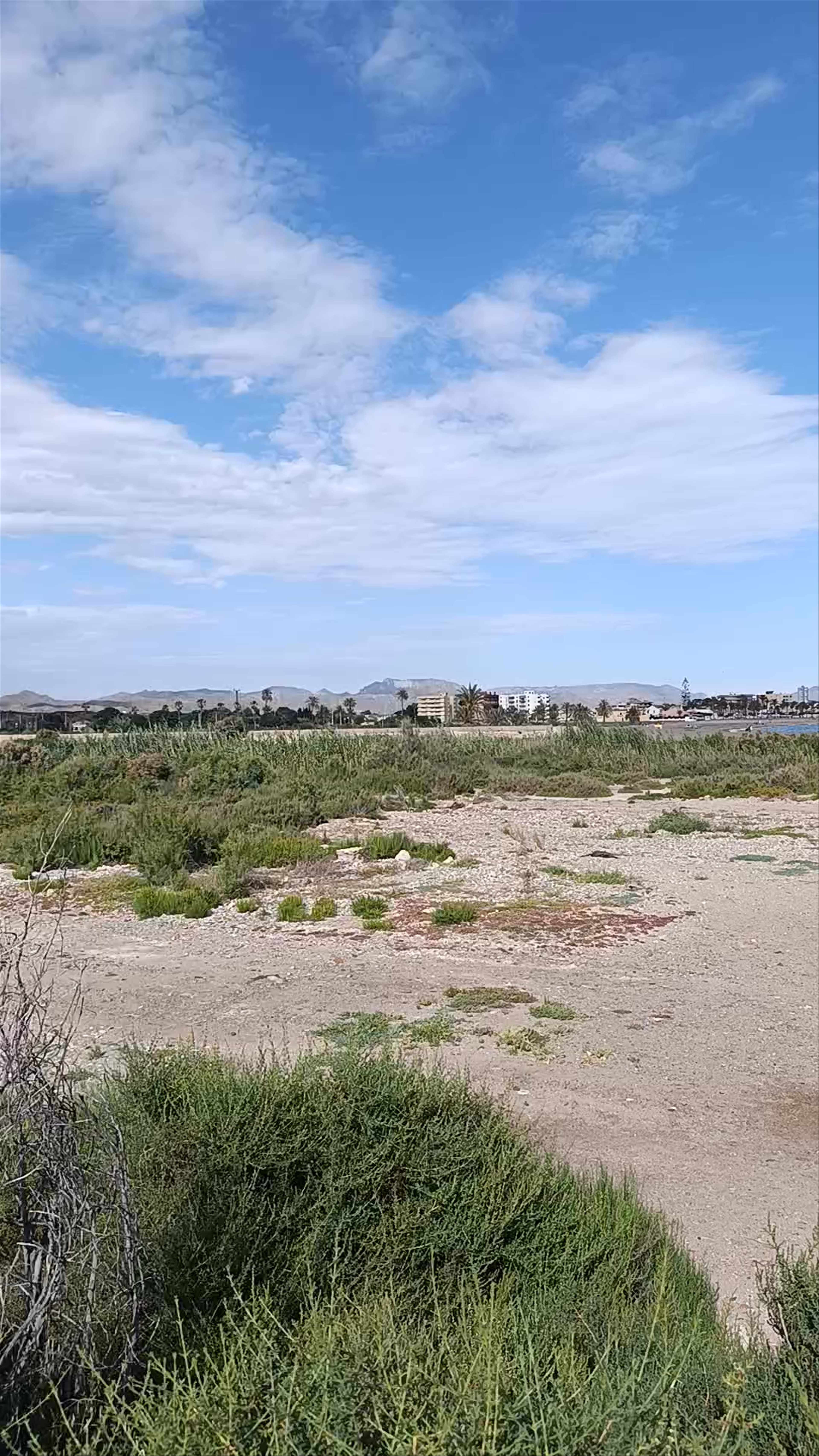 Playa de Las Moreras. Playa Canina