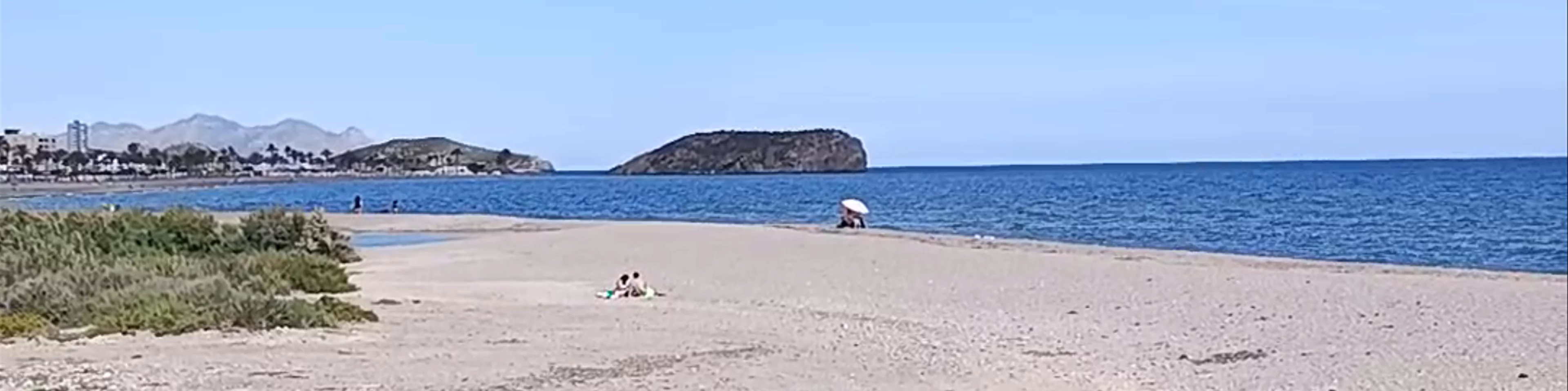 Playa de Las Moreras. Playa Canina