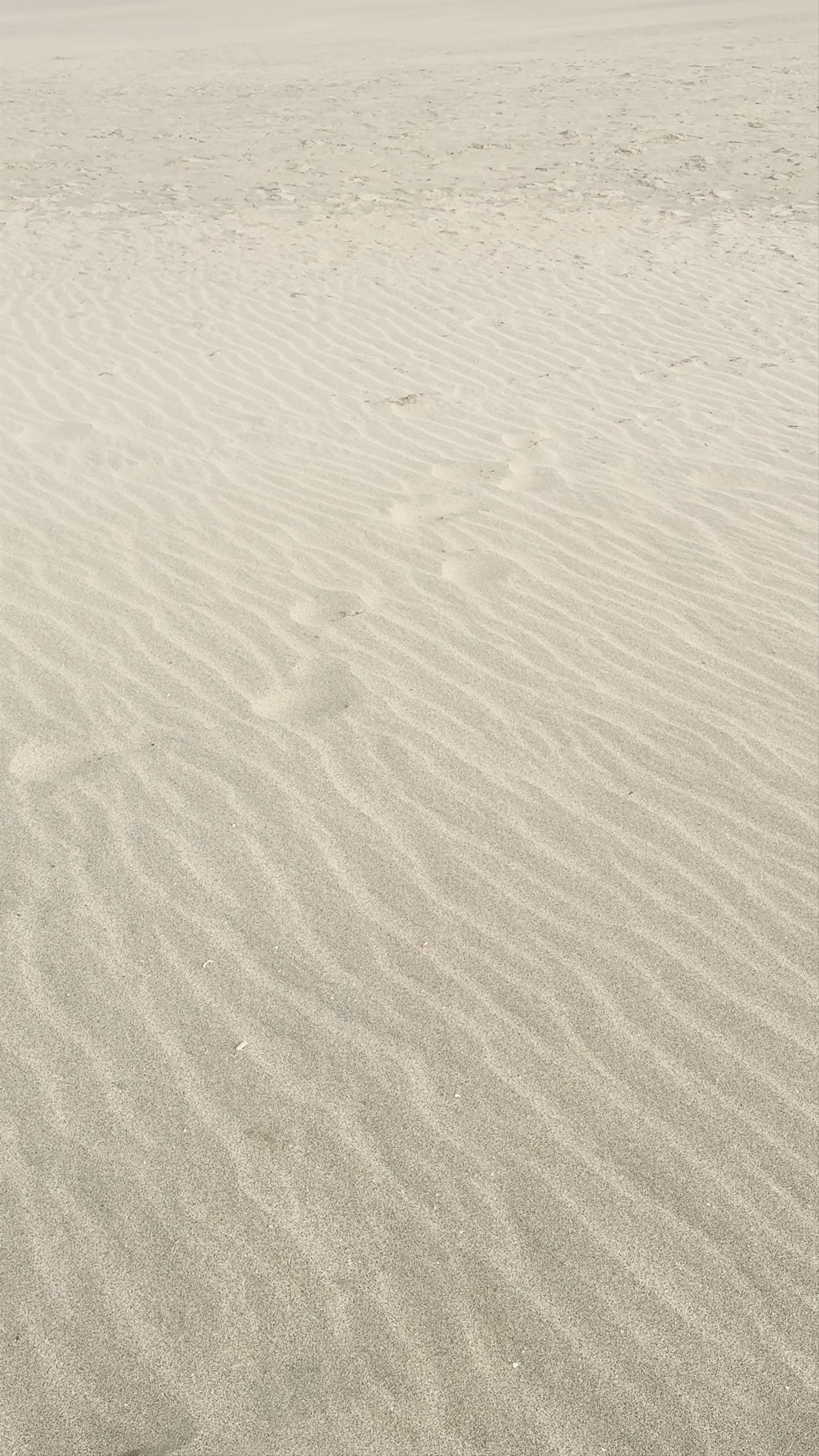 Playas de Costa Calma
