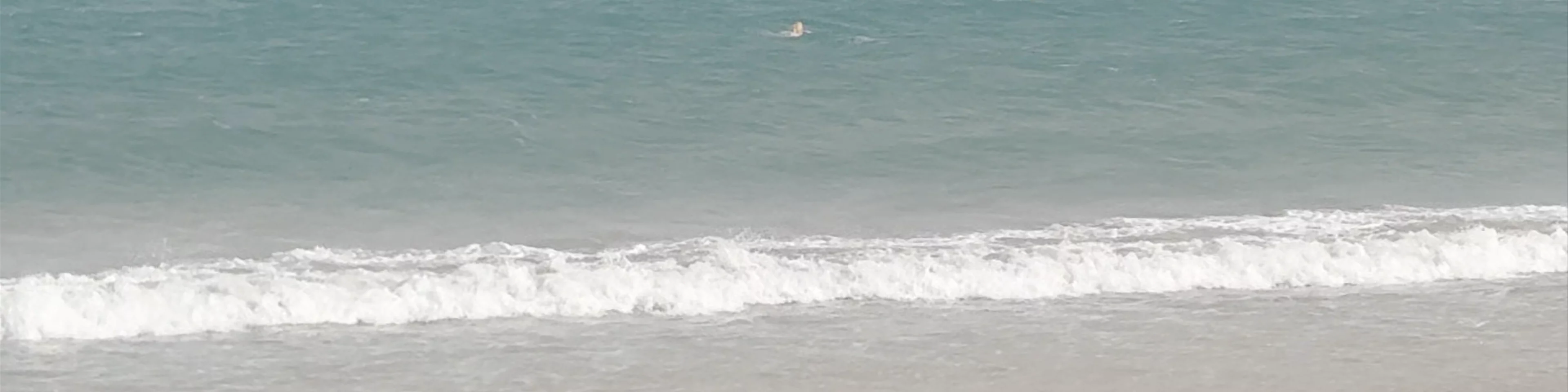 Playas de Costa Calma