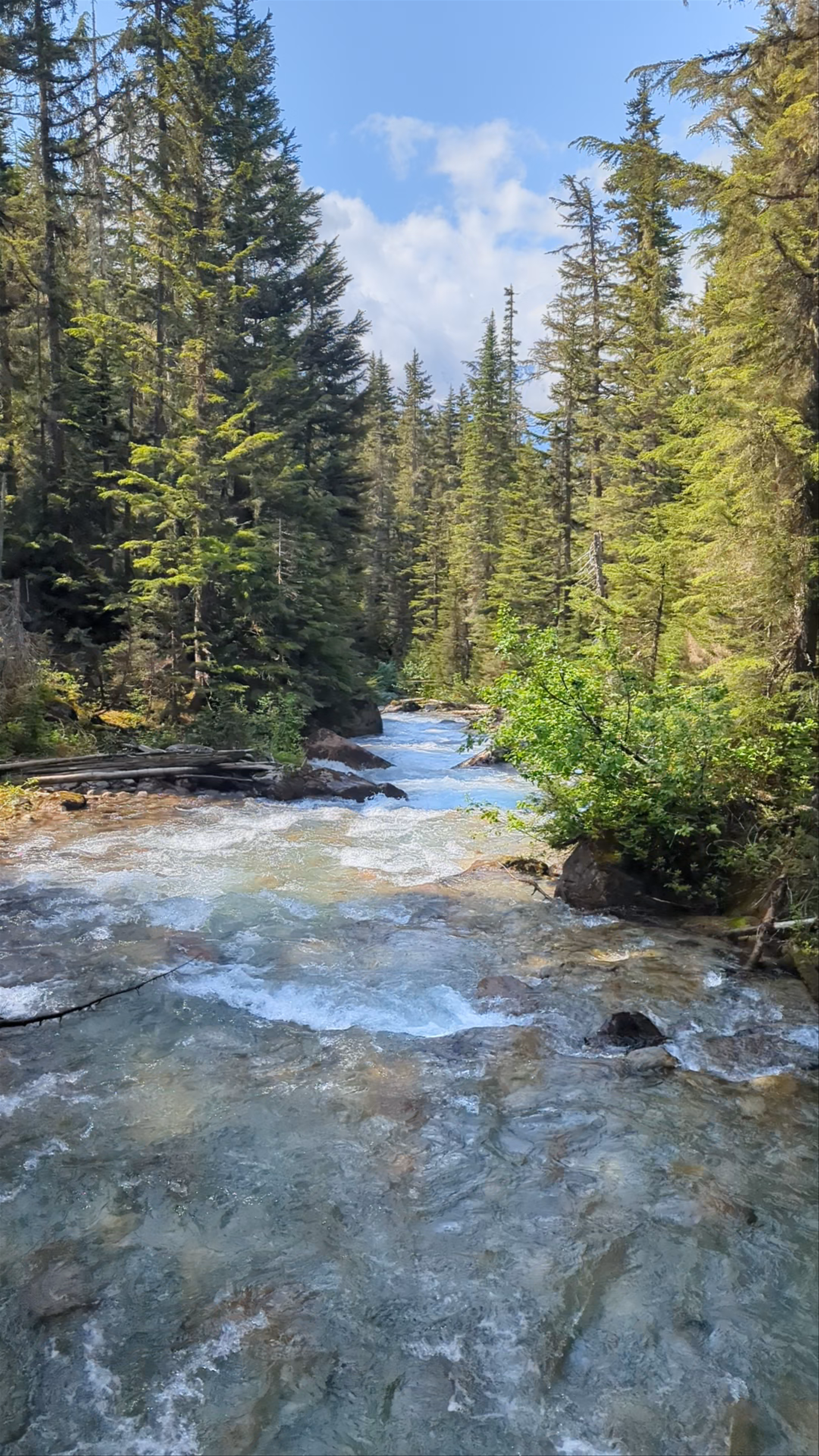 Meeting Of The Waters Confluent