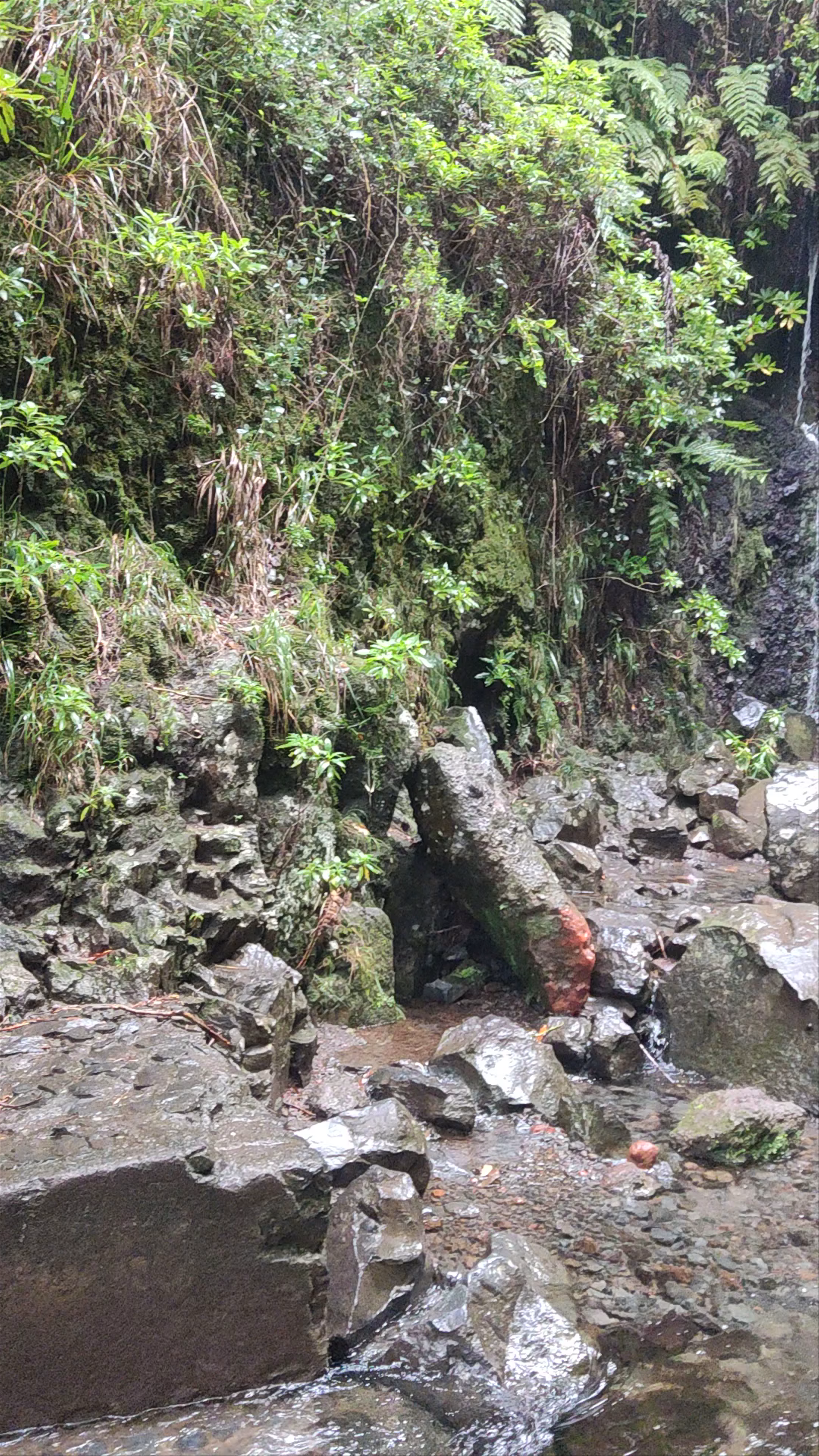 25 Fontes Falls