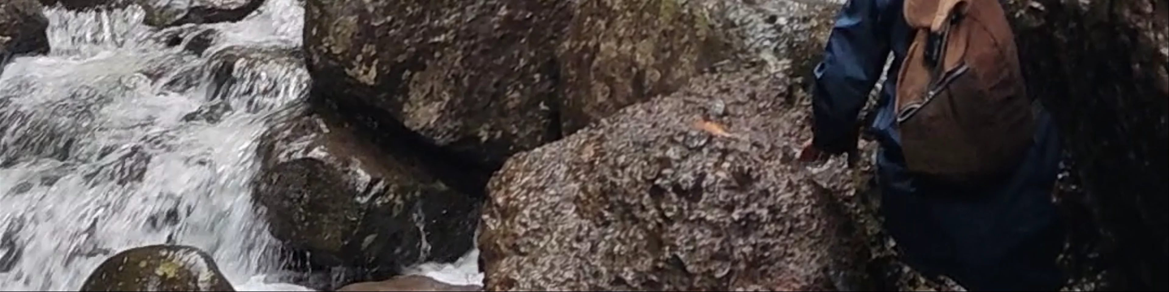 25 Fontes Falls